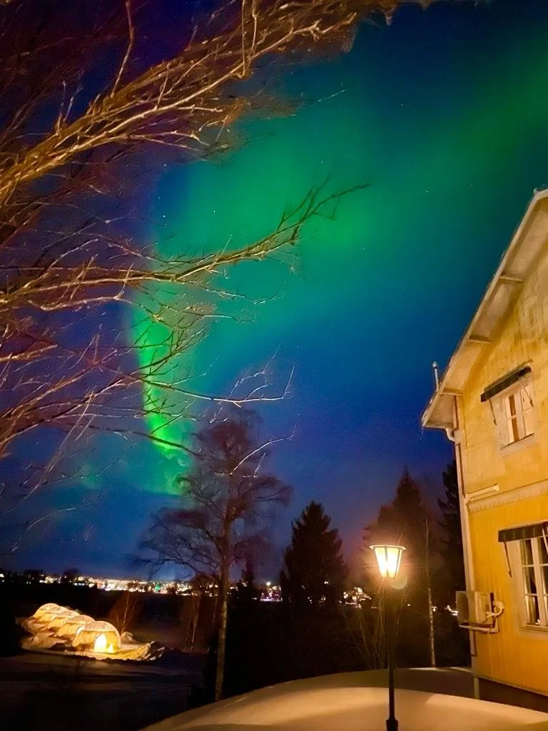Aurora boreale verde e blu nel cielo notturno sopra case e alberi, con alcune luci artificiali in primo piano.