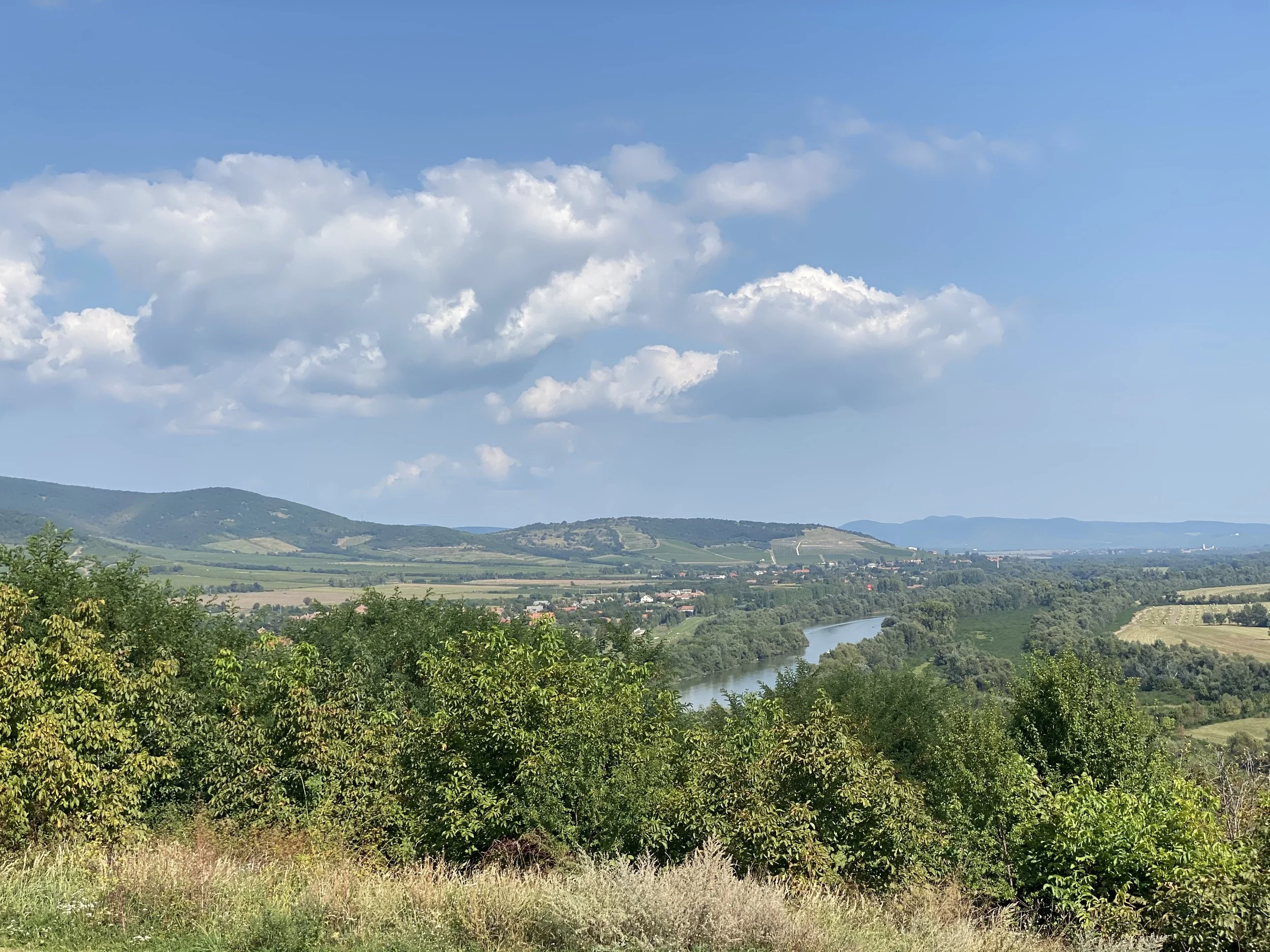 View of a river from the top of a hill in Tokaj