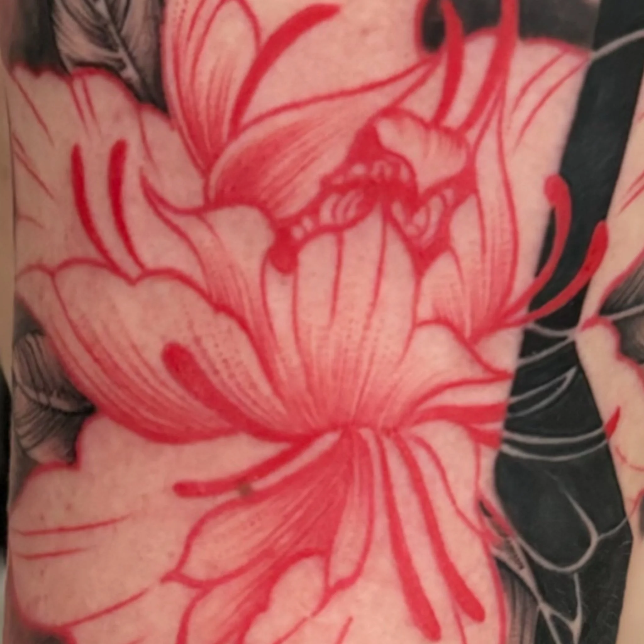Close-up of a tattoo featuring a red outline of a skeleton inside a heart, with details of the ribcage and spine visible.