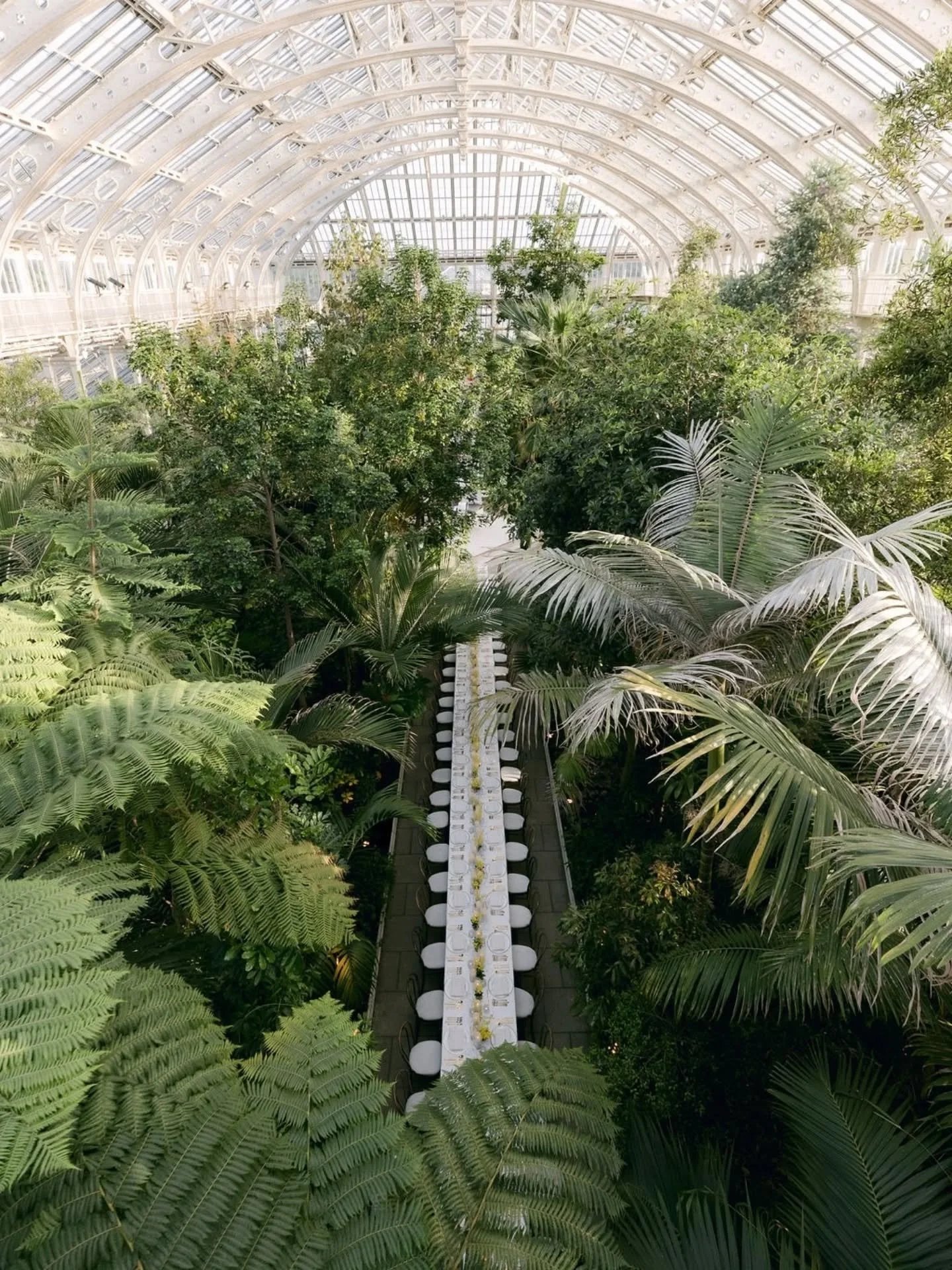 LONG TABLE DINNERS

We are obsessed with these photos from @chloelowephotography . Perfectly showcasing the elegance and splendour of a long table dinner under the palms and rare plants in Temperature House @kewevents

With only an hour to set up a t