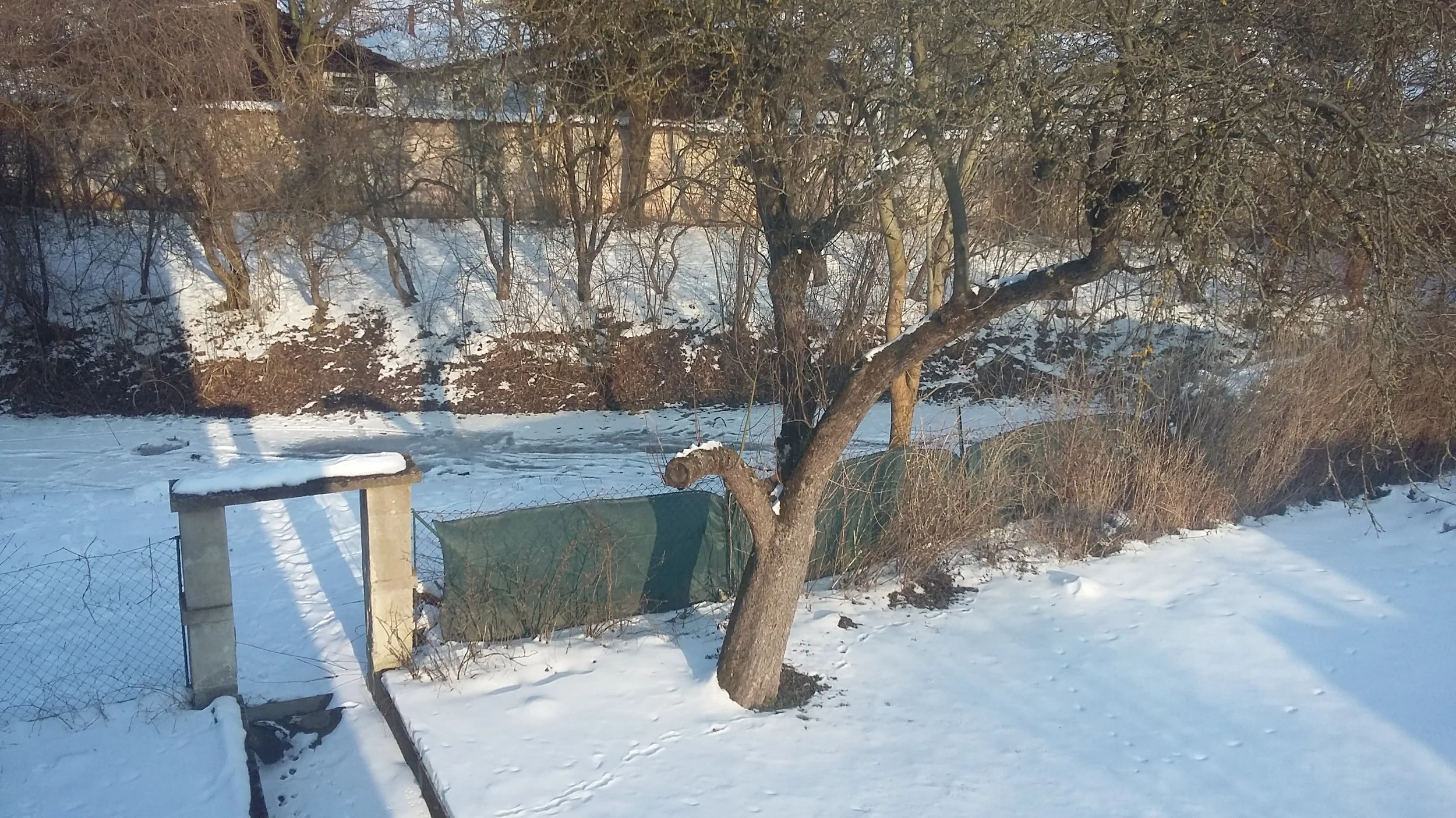 20180304_155454.jpg