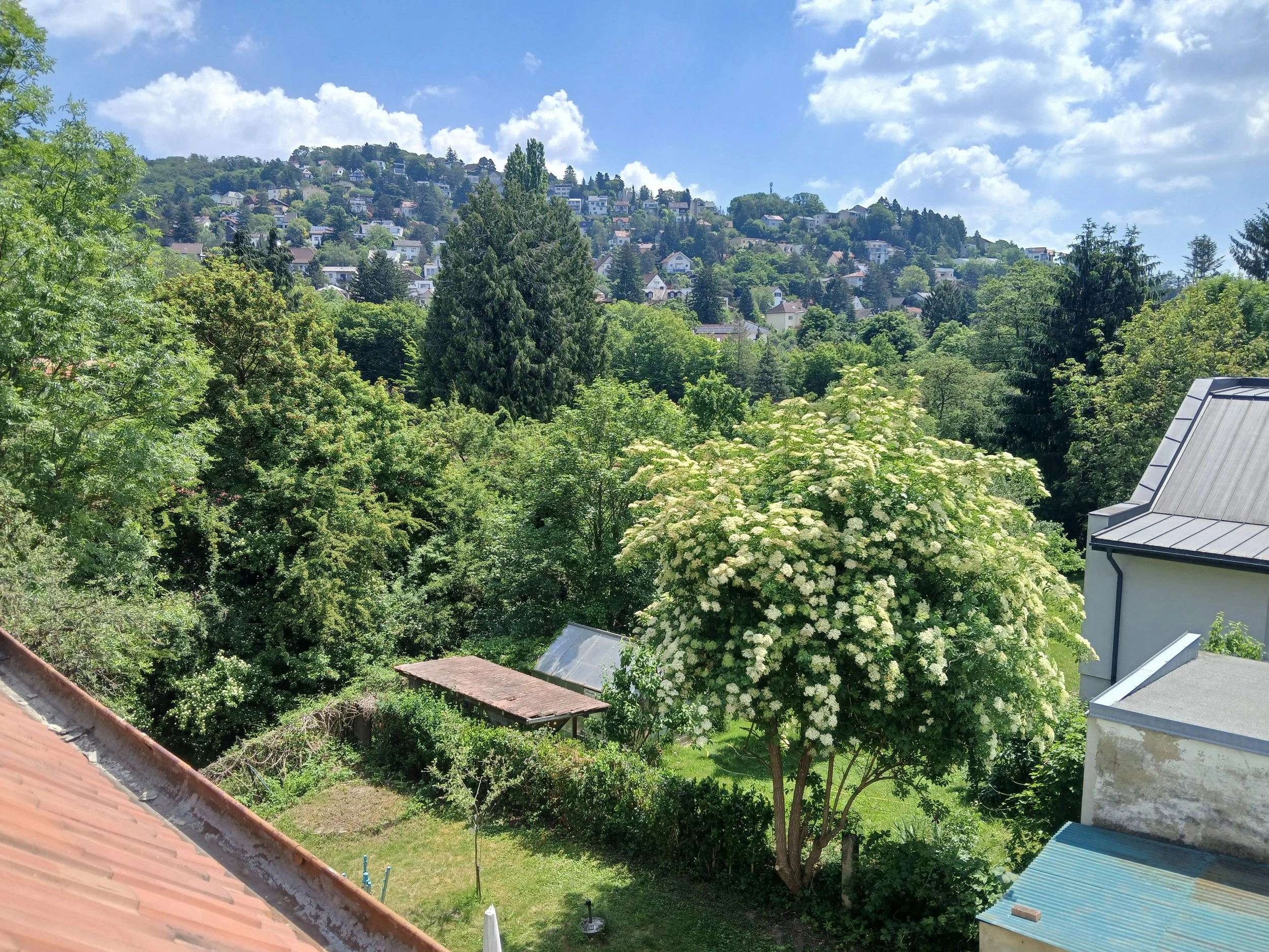 15.20260525_123653.jpg