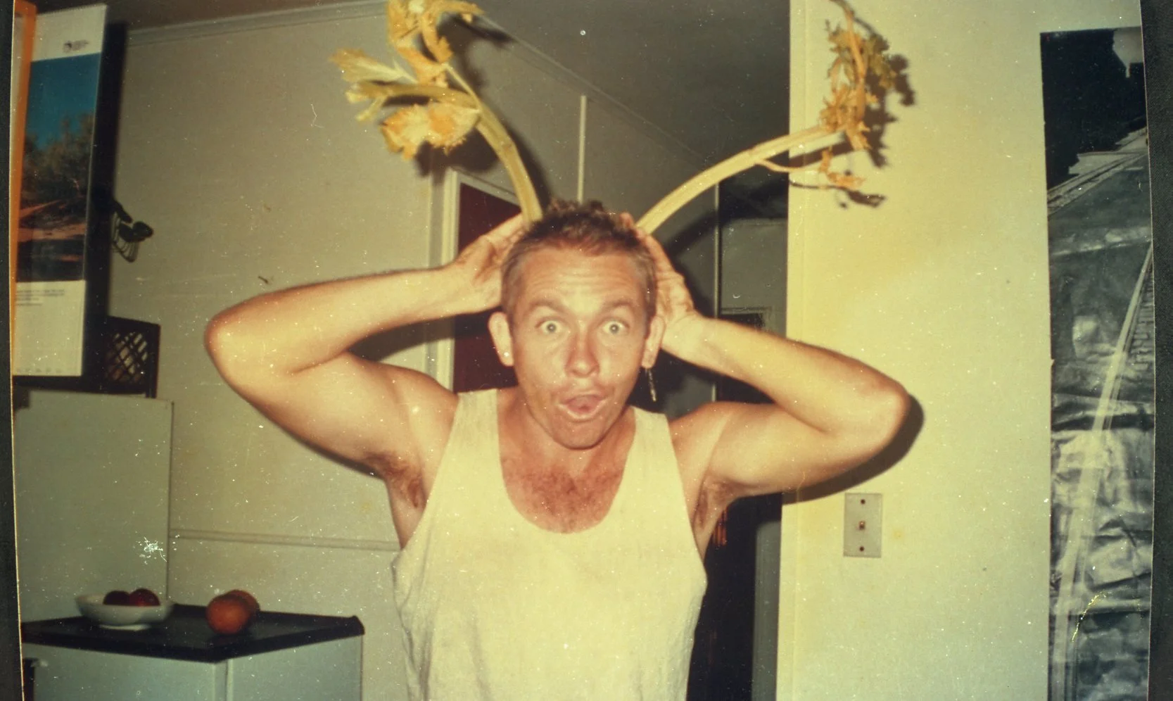 A man wearing a yellow tank top has a surprised expression, holding his head with his hands. He is wearing a pair of houseplant leaves or branches on his head, resembling antennae. The background shows a kitchen with a small counter with a bowl and s