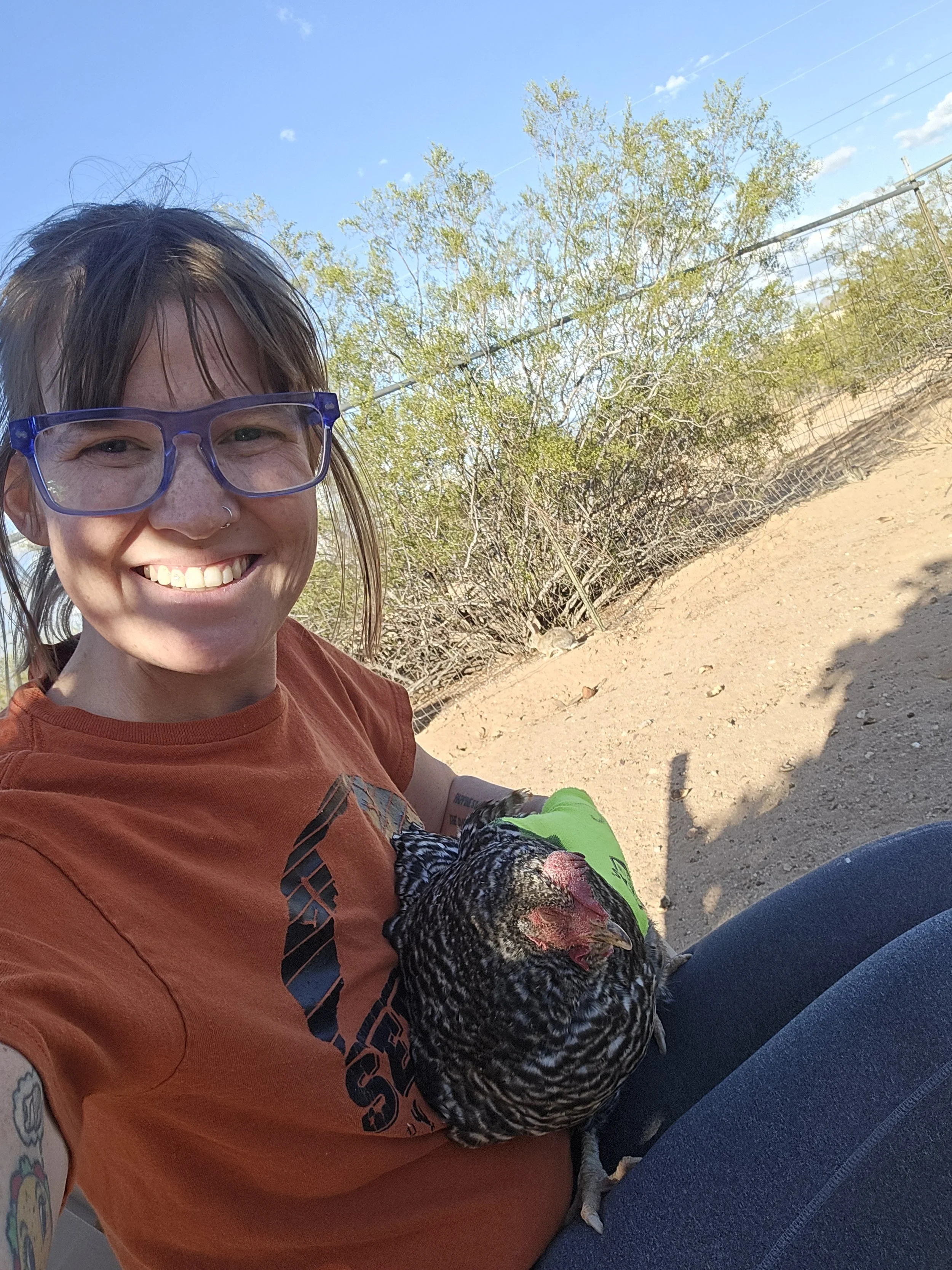 A woman with purple glasses and tattoos on her arm taking a selfie outdoors, holding a chicken on her lap with Arizona landscape in the background.