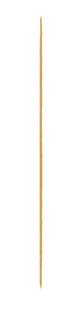 A close-up of a compass needle pointing north.