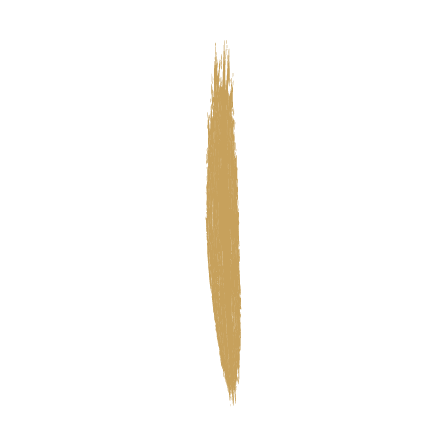 A vertical streak of brown paint or ink on a white background.