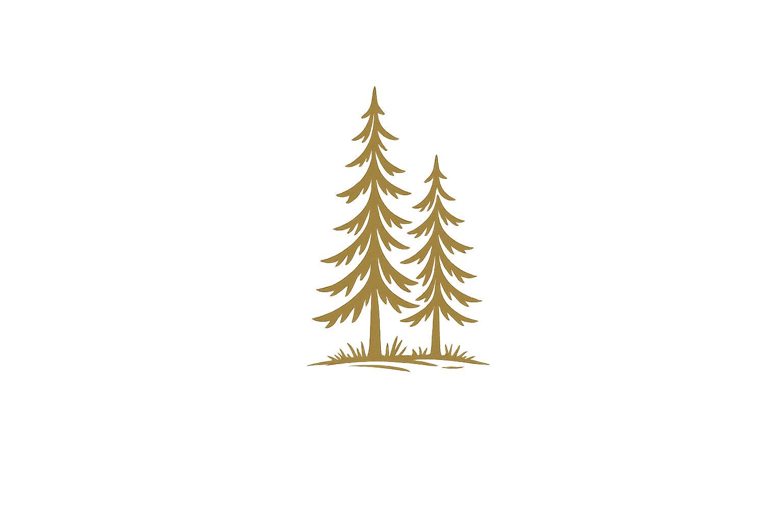 Pine tree illustration representing River Branch Adventure Co outdoor adventure photography, travel planning, and state park experiences