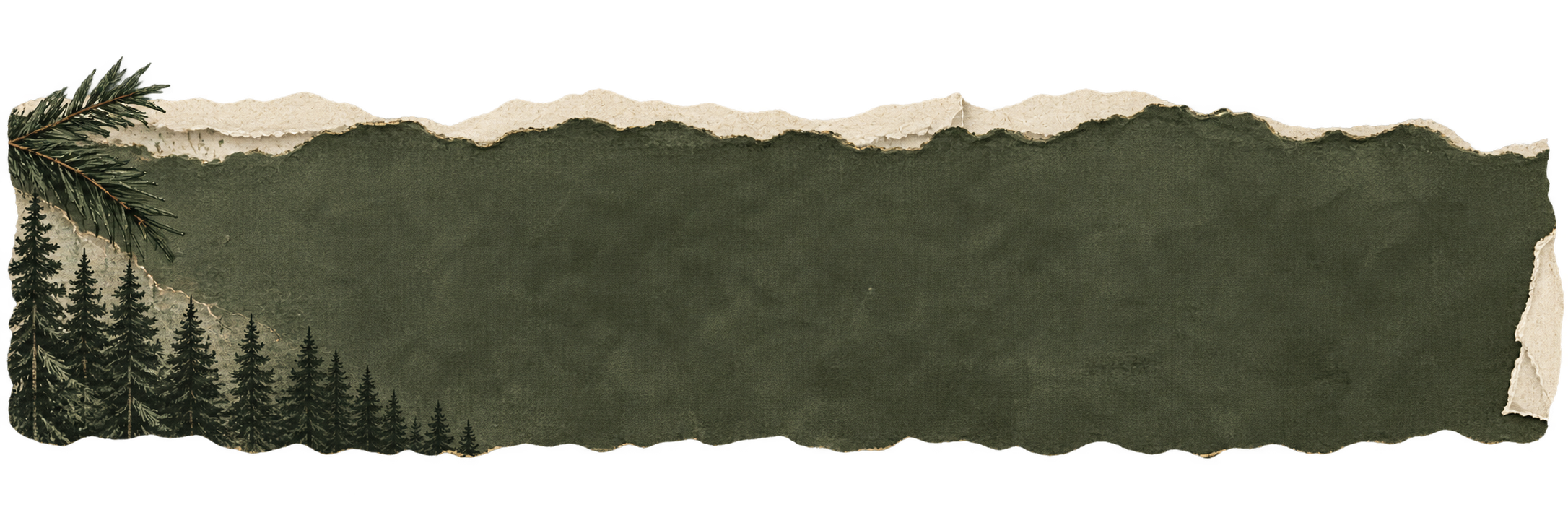 Decorative torn olive-green paper banner with a cream parchment edge, evergreen branches, and a forest silhouette, leaving open space for elopement planning text.