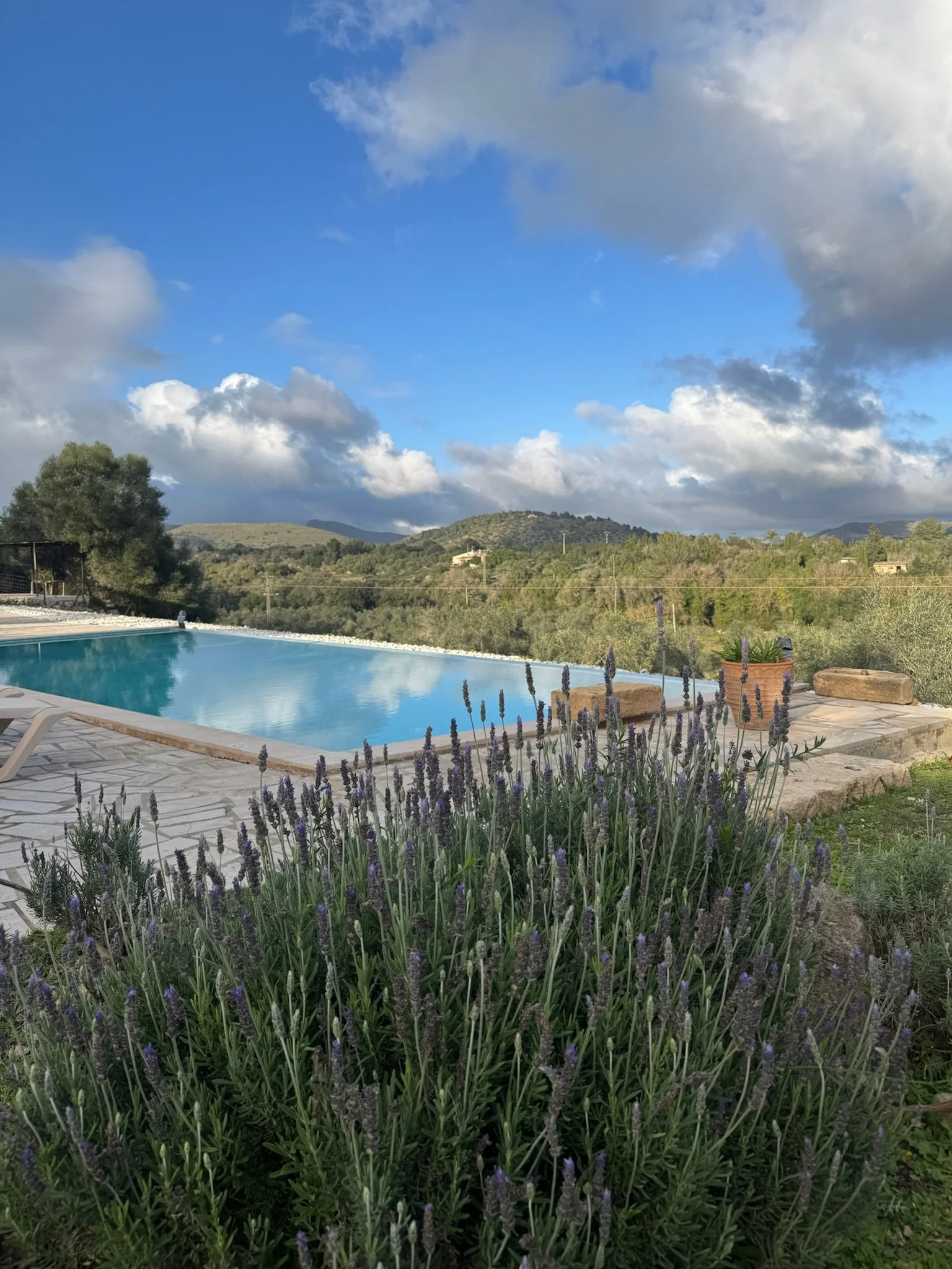 View of a swimming pool bordered by a stone deck, with purple lavender flowers in the foreground, green trees and rolling hills in the background, and a partly cloudy blue sky overhead.