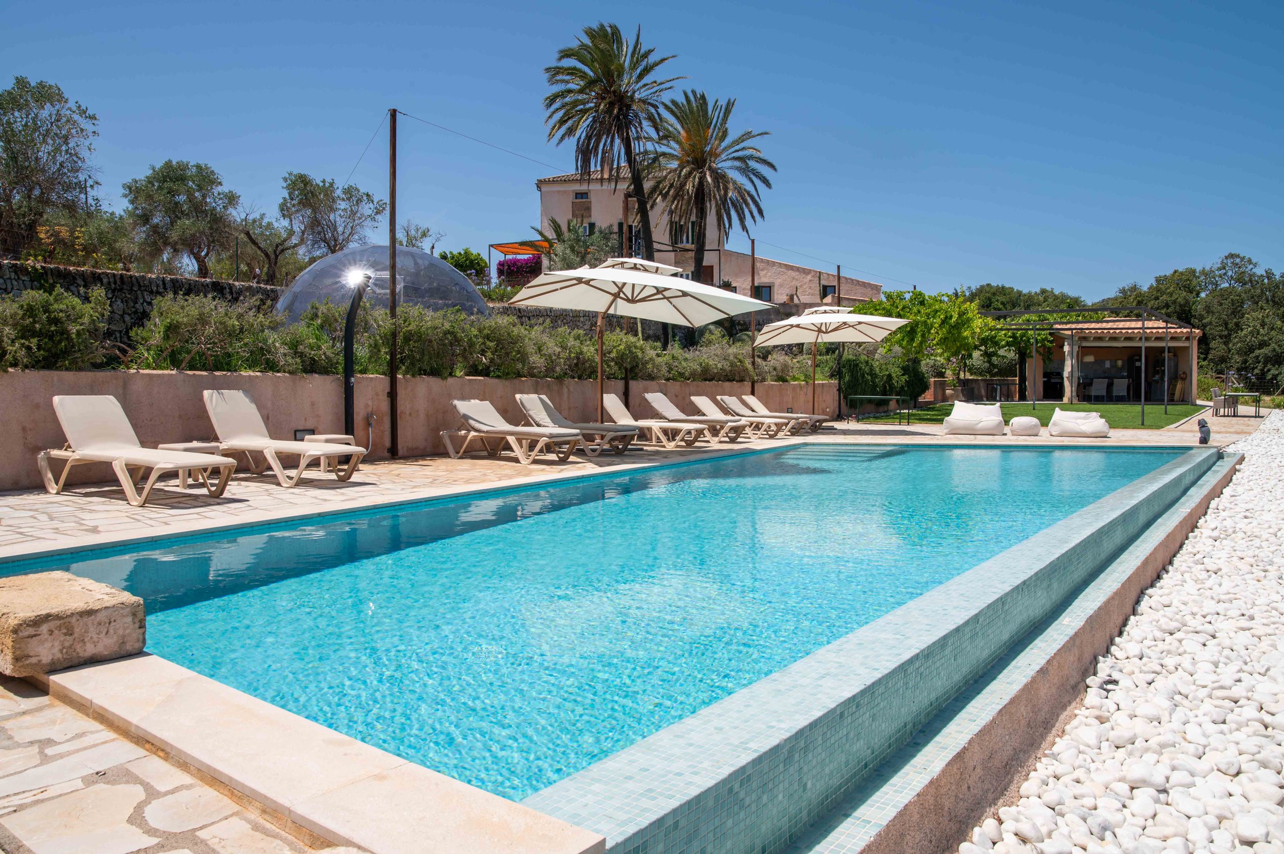 A swimming pool scene with clear blue water, surrounded by white lounge chairs and umbrellas. There is a landscaped area with trees, shrubs, and a stone wall. In the background, there is a house with palm trees and a blue sky.