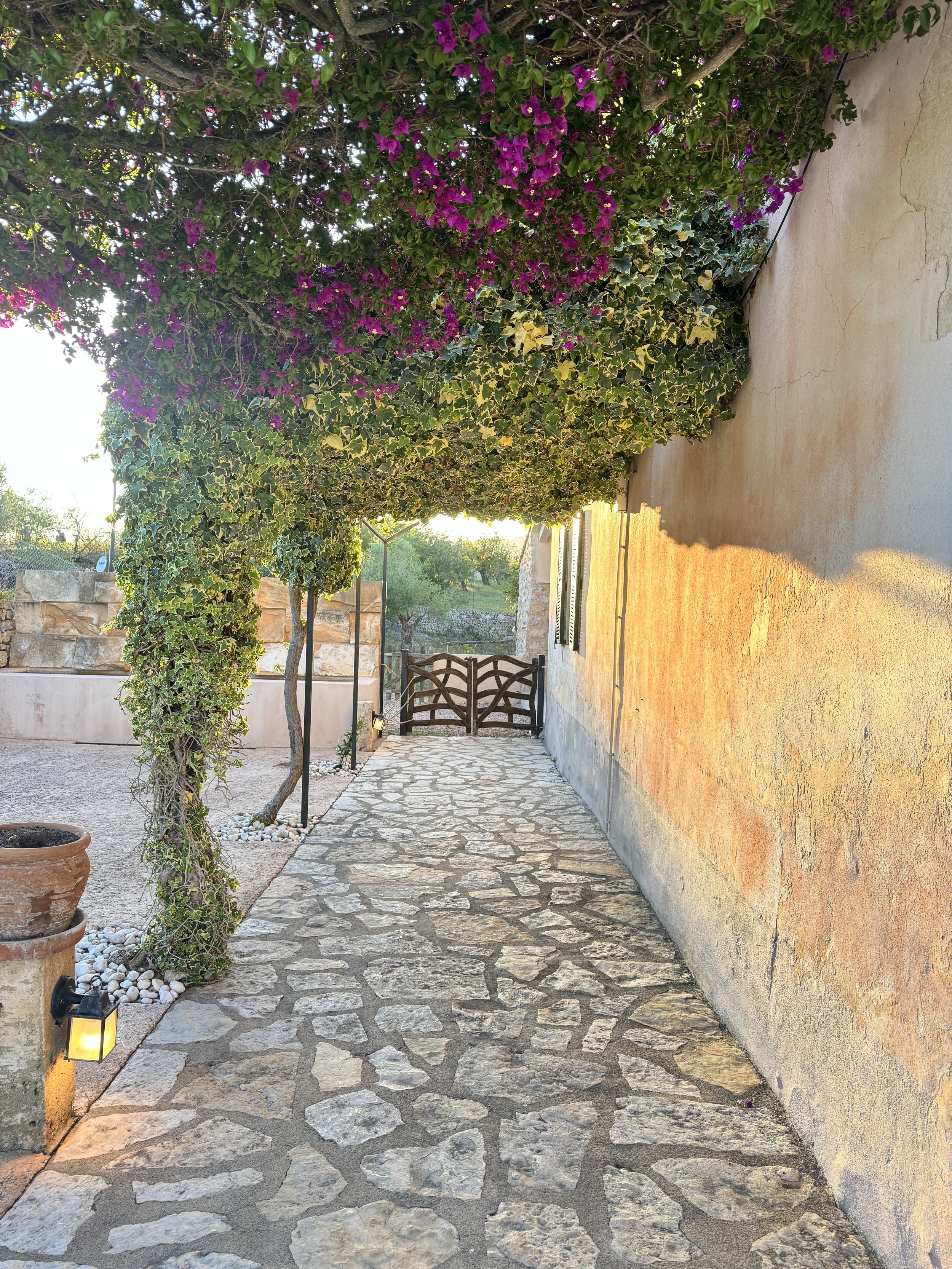 A stone pathway alongside a yellow textured wall with plants and purple flowers overhanging from above, a wooden gate at the end of the pathway, and warm outdoor lighting.