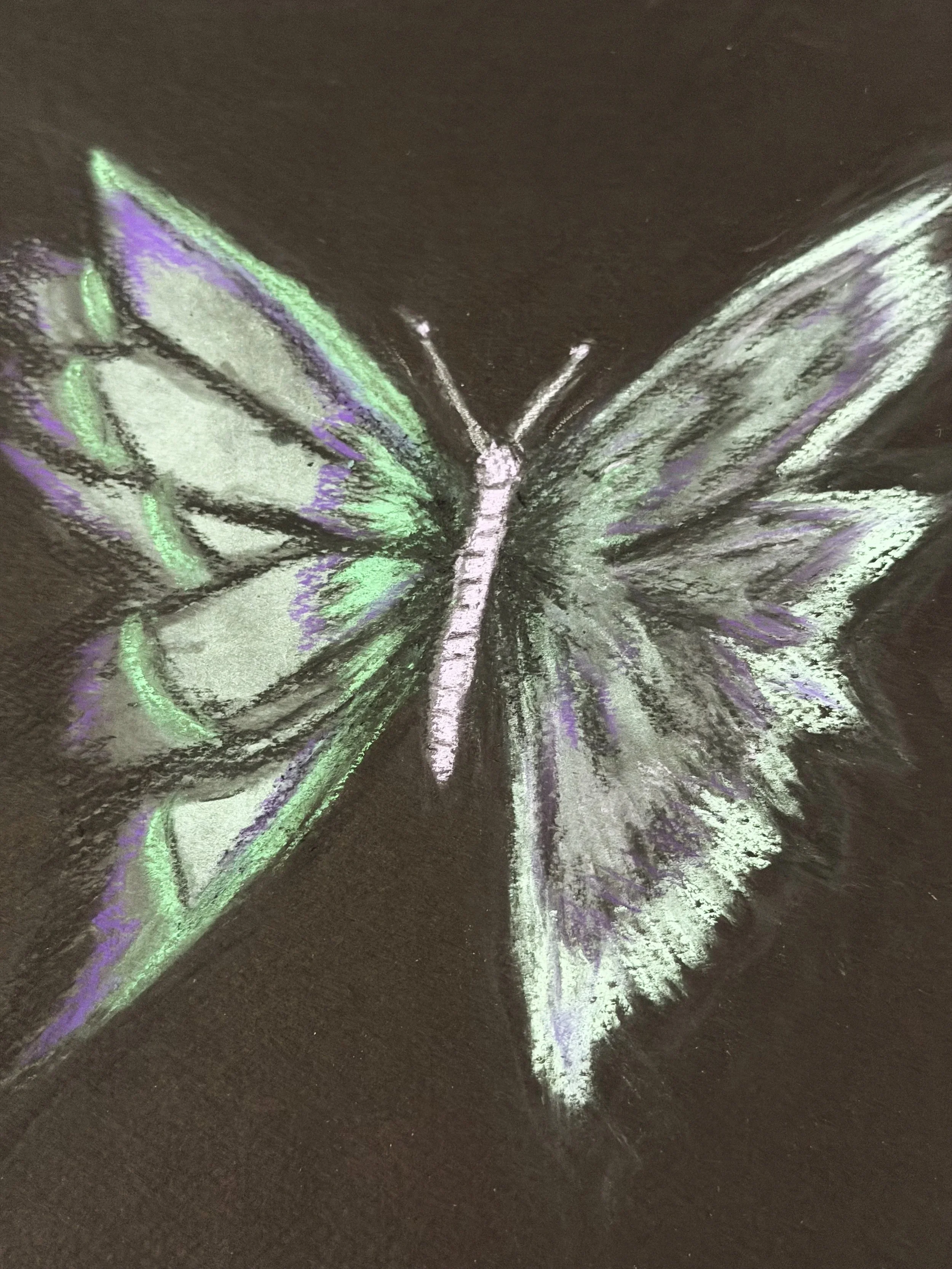 The Wings Were Evidence.