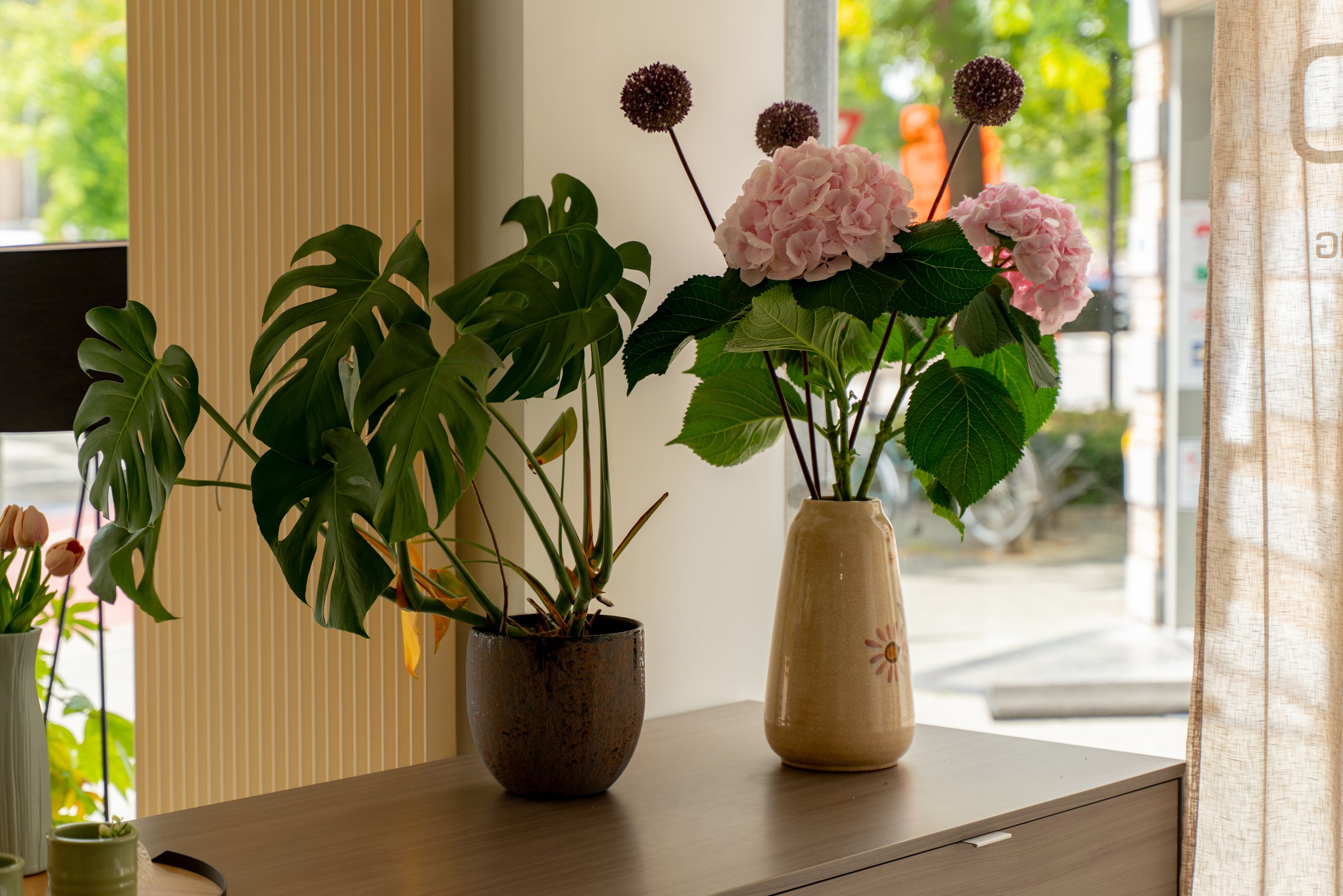Een interieurbeeld met twee vazen op een houten tafel, een met roze hortensia's en de ander met grote groene bladeren, bij een raam met een lichte gordijn.