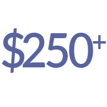 $250 donation amount
