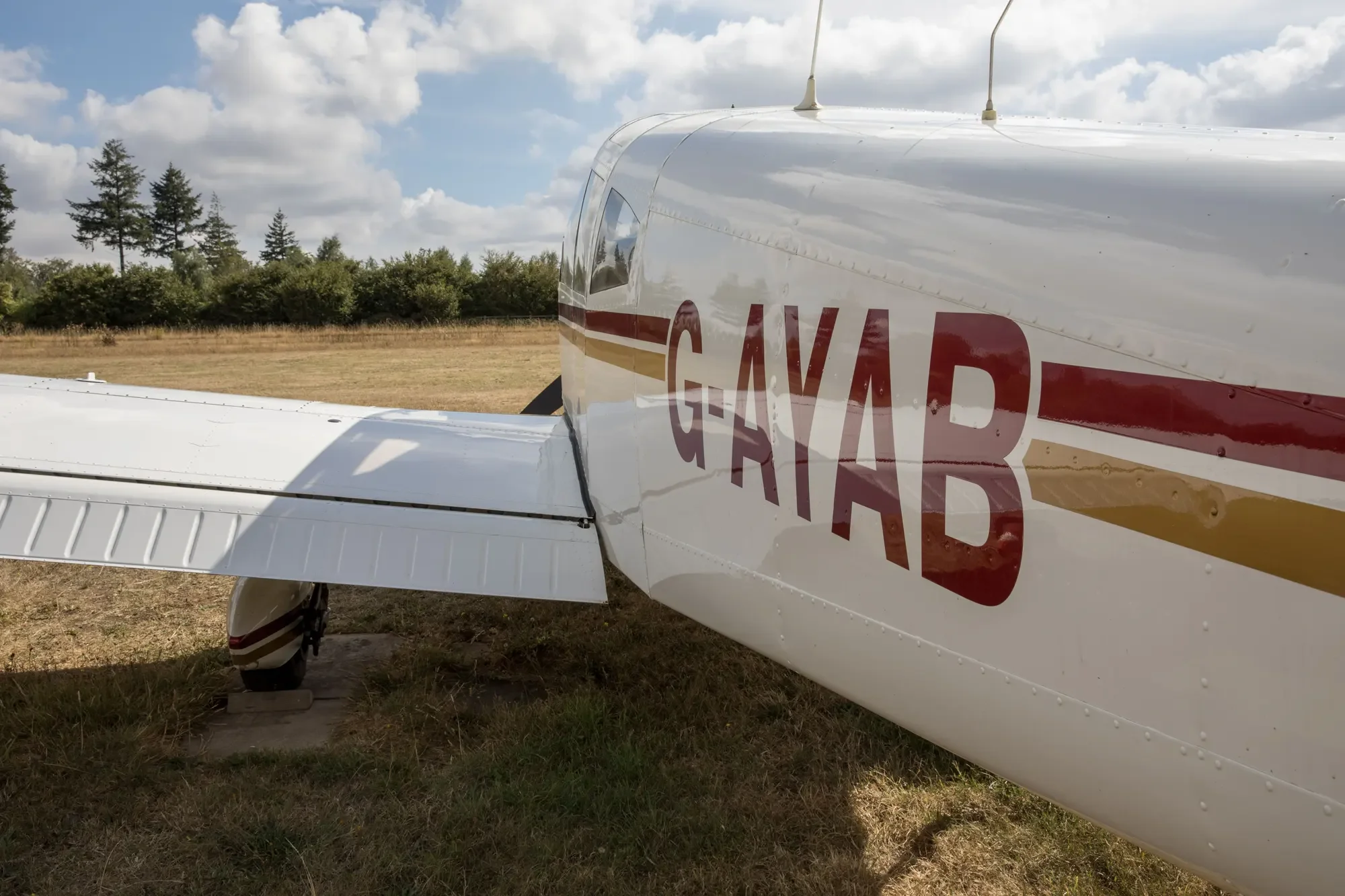 6R6A3062.gal.webp