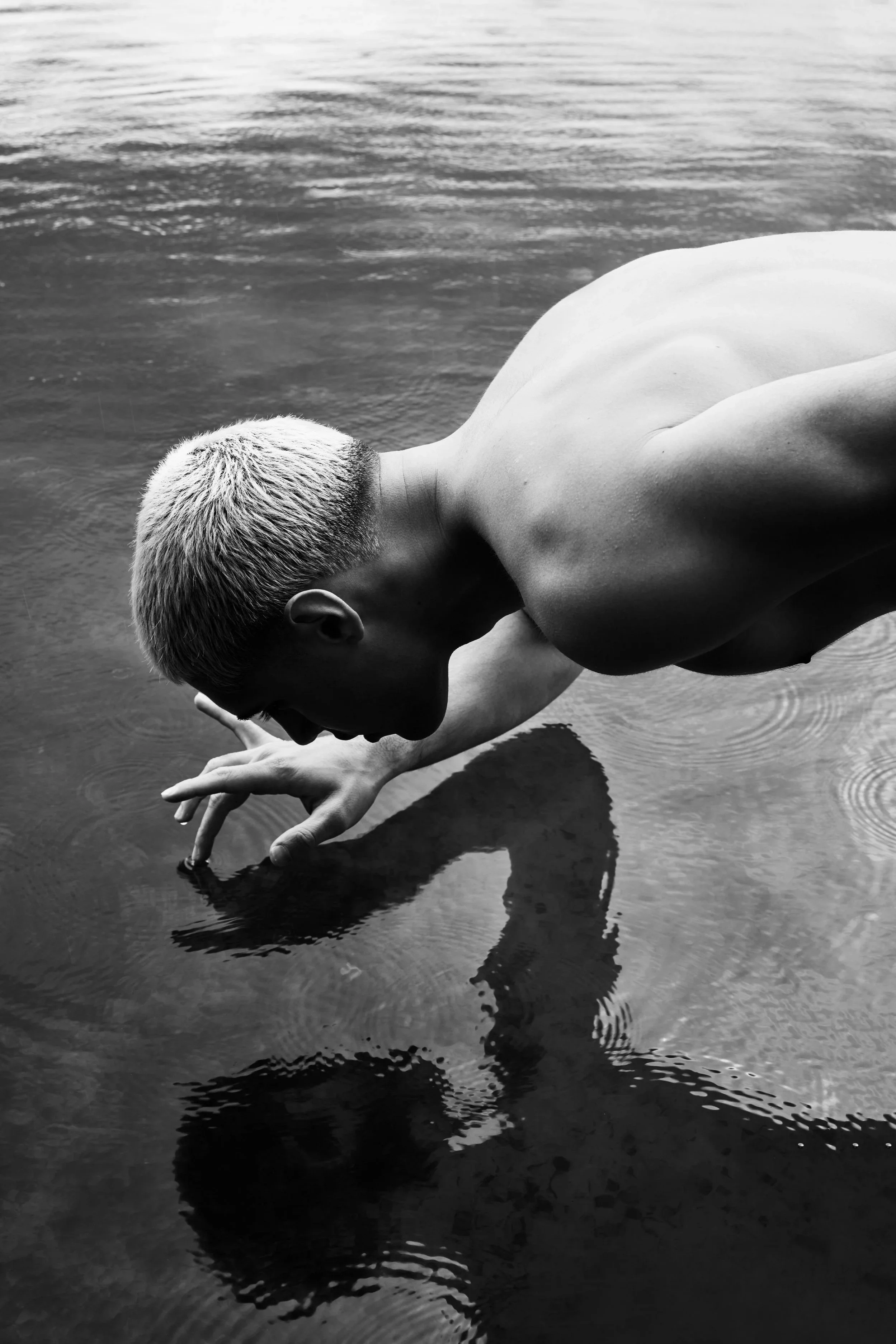 Narcissus