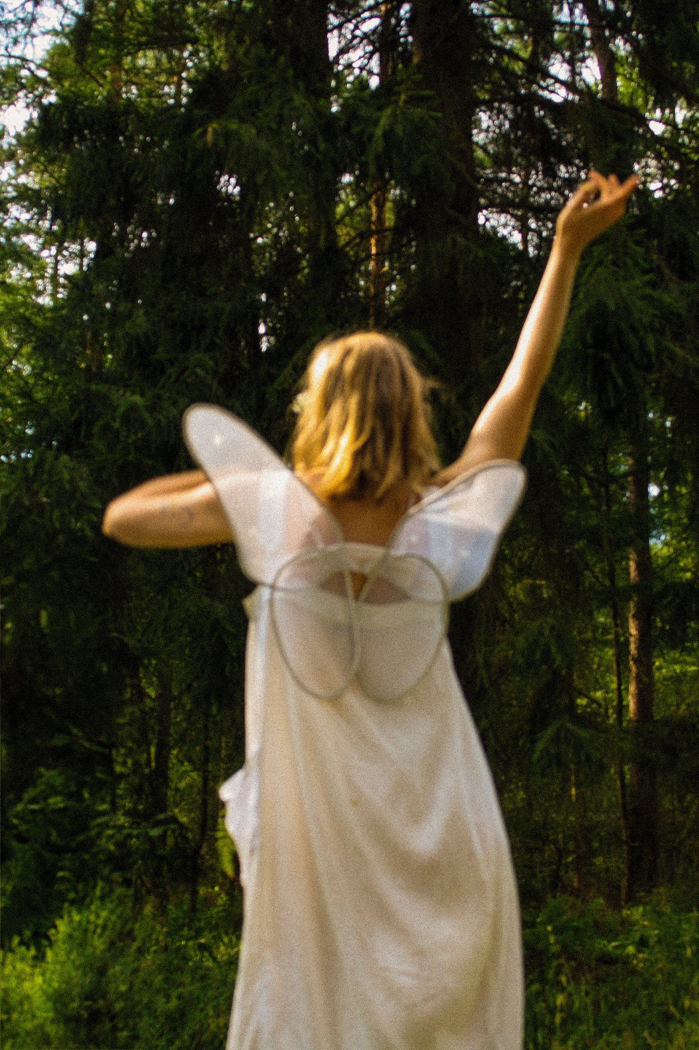 Fairy Gathering