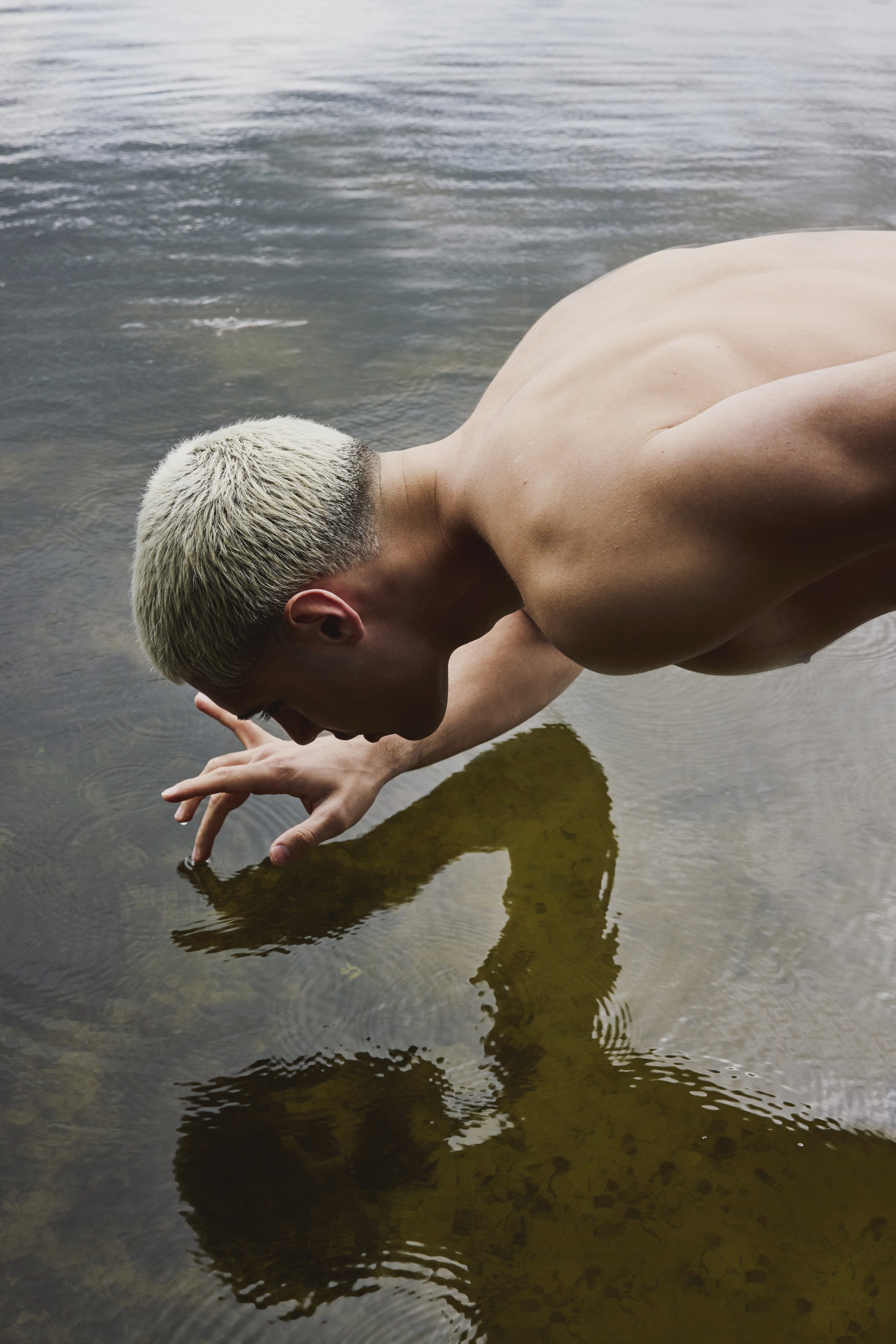 Narcissus
