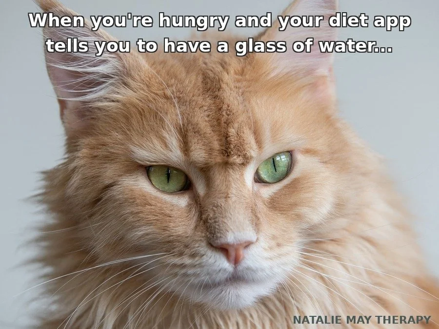 Meme of a cat saying "when you're hungry and your diet app tells you to have a glass of water"