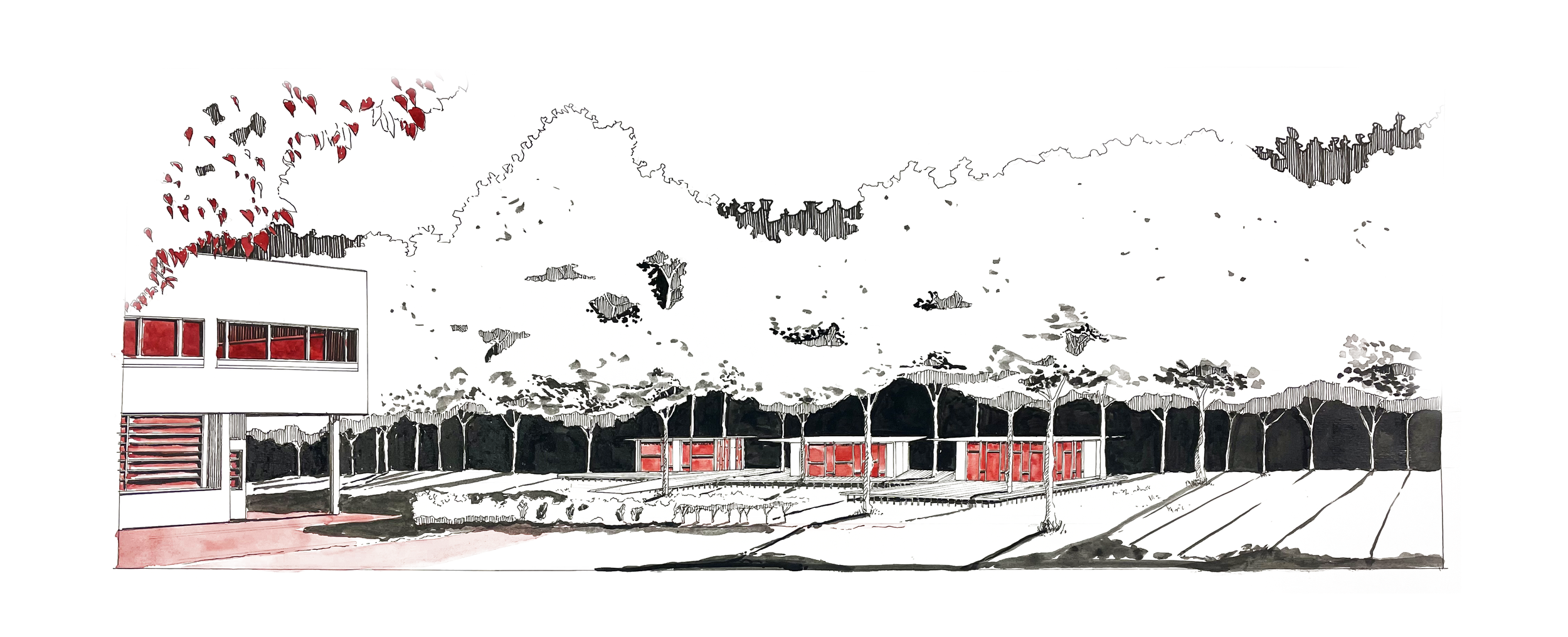 IMG_0512.png