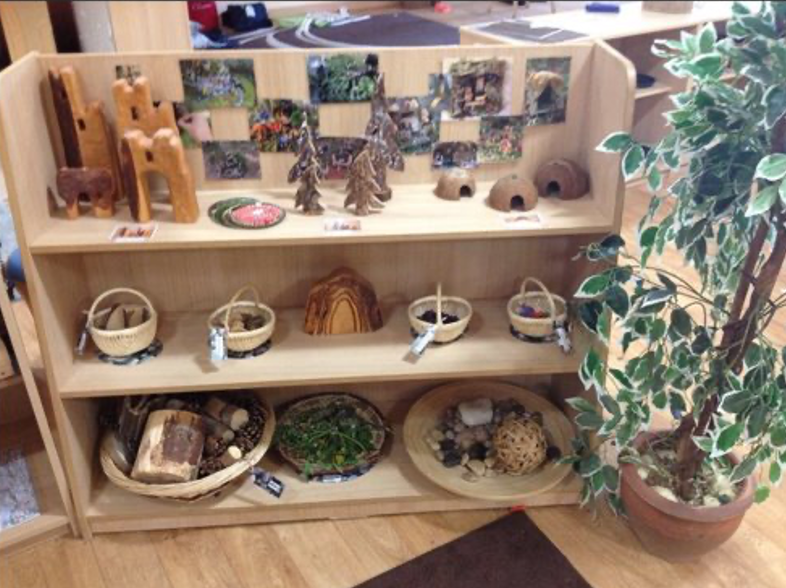 Wooden display shelf with small decorative items, baskets containing natural objects, a potted plant beside the shelf, and small photographs attached to the back of the shelf.