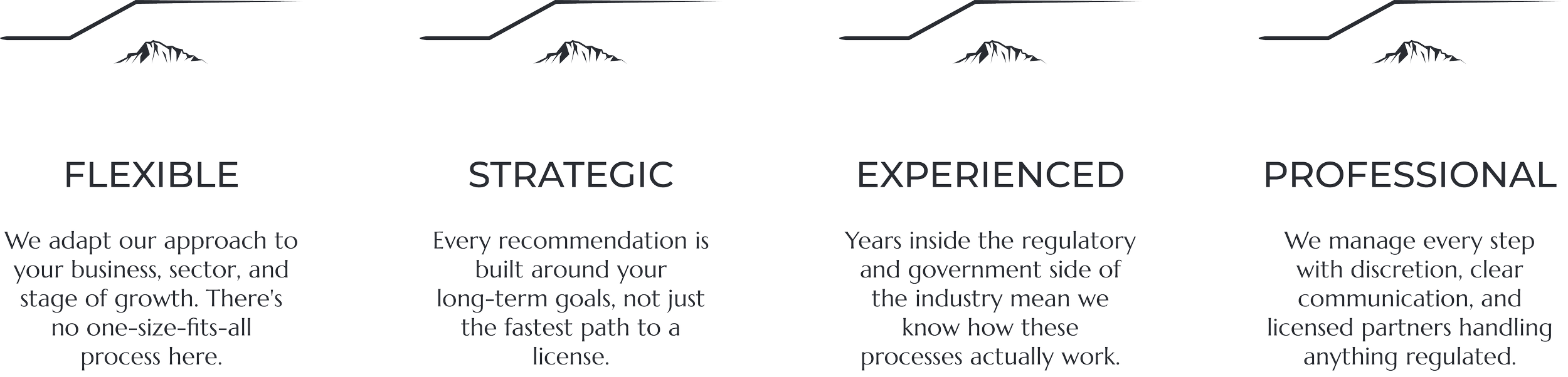 A timeline with four stages: Flexible, Strategic, Experienced, Professional, with explanatory text underneath each stage.