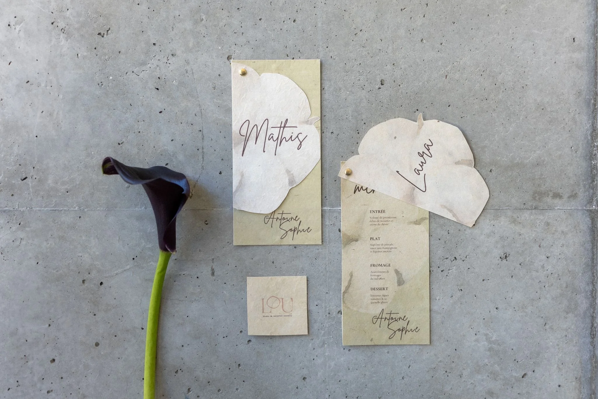 Une photo prise en plongée montrant un message écrit à la main sur un papier beige, avec un bouton en haut à gauche, à côté d'une fleur violette dont la tige verte dépasse en bas à gauche.