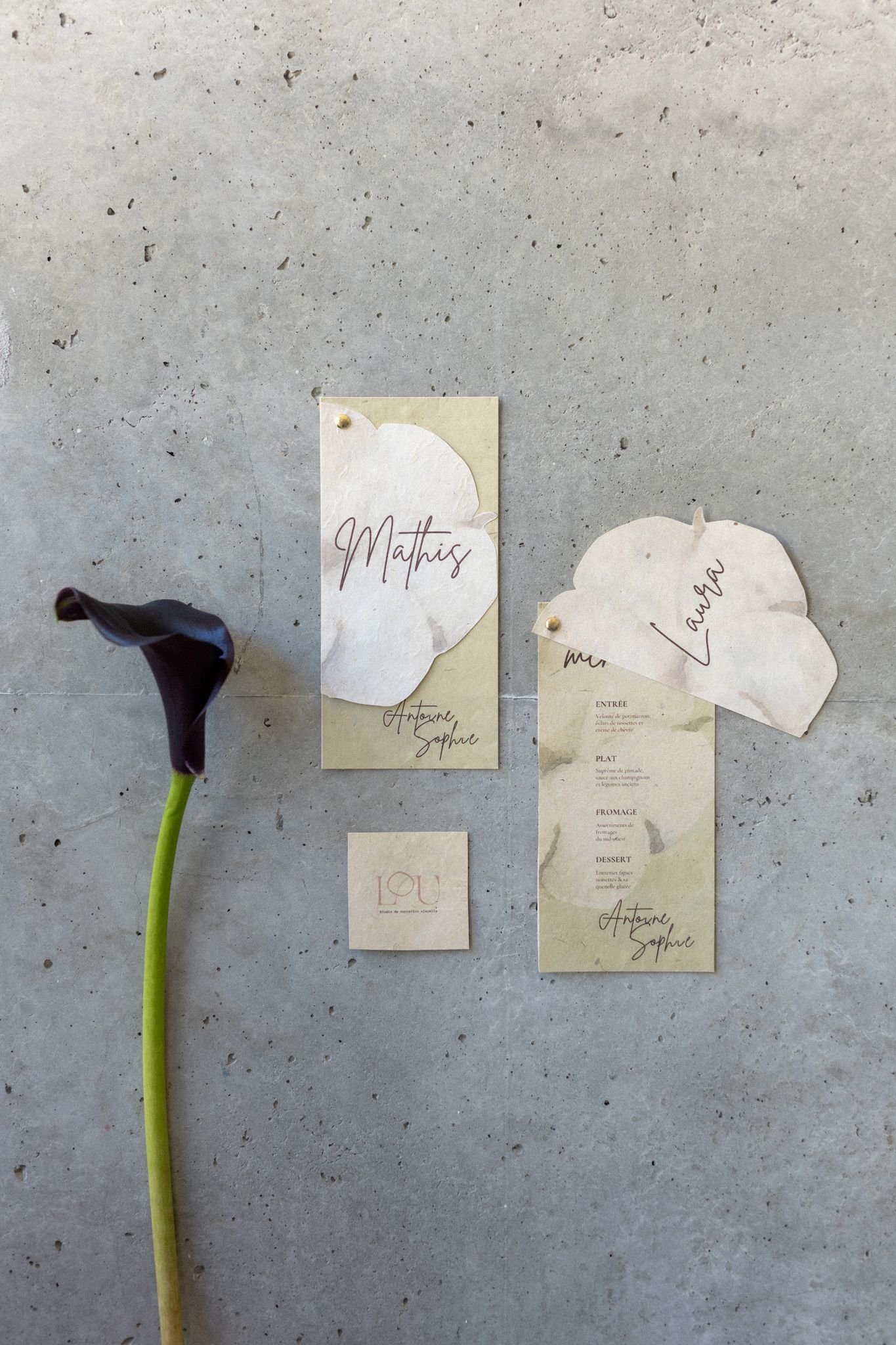 Une fleur de calla noir et vert en début de floraison à côté de plusieurs menus avec des noms écrits en cursive, placés sur un sol en béton.