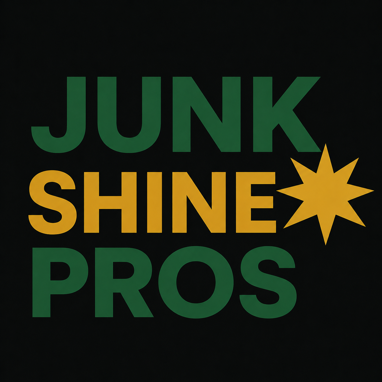 Junk Shine Pros