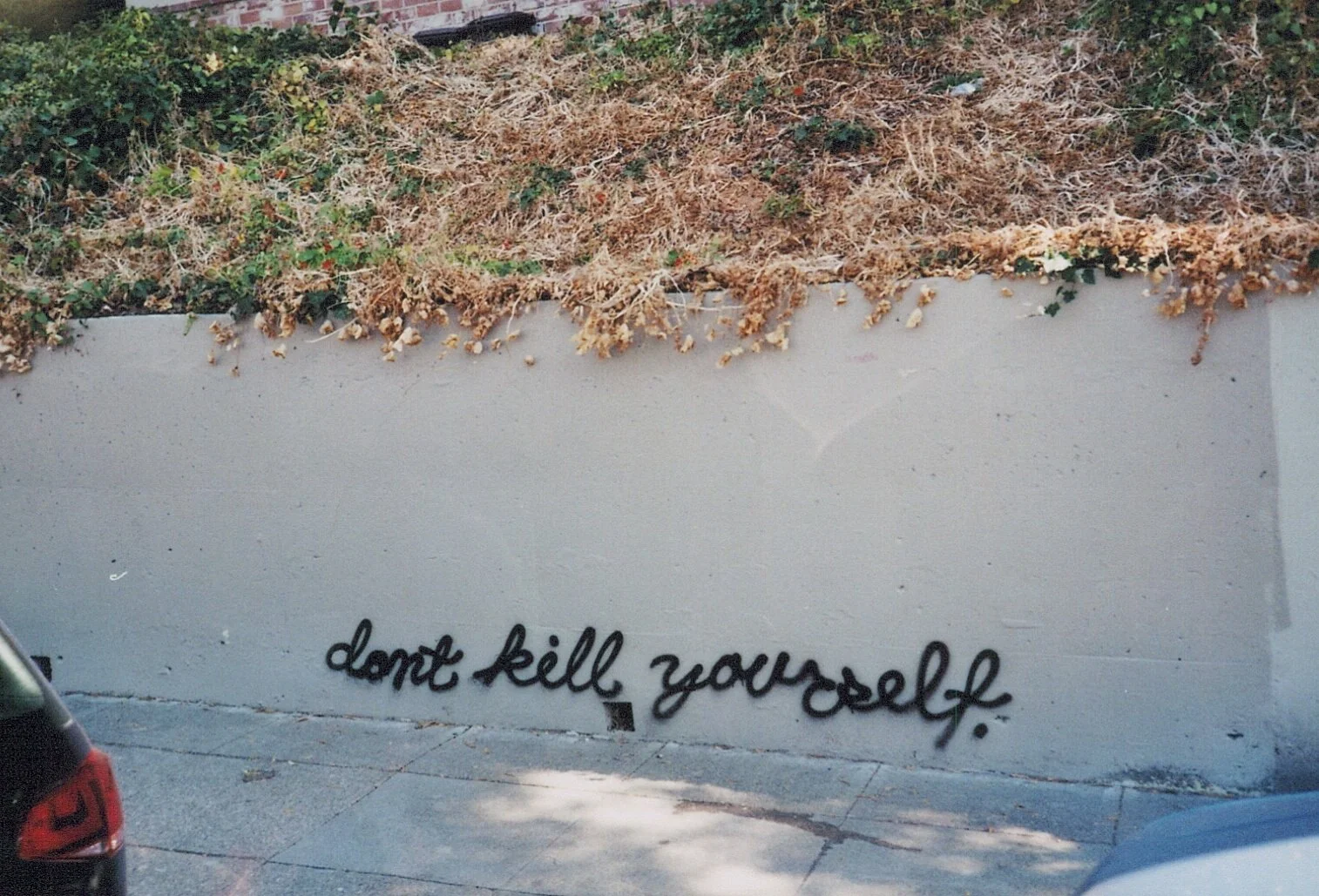 Graffiti mit dem Text "don't kill yourself" auf einer weißen Wand, im Hintergrund trockene Pflanzen auf einer Mauer, im unteren linken und rechten Bildrand Teile von Autos sichtbar.
