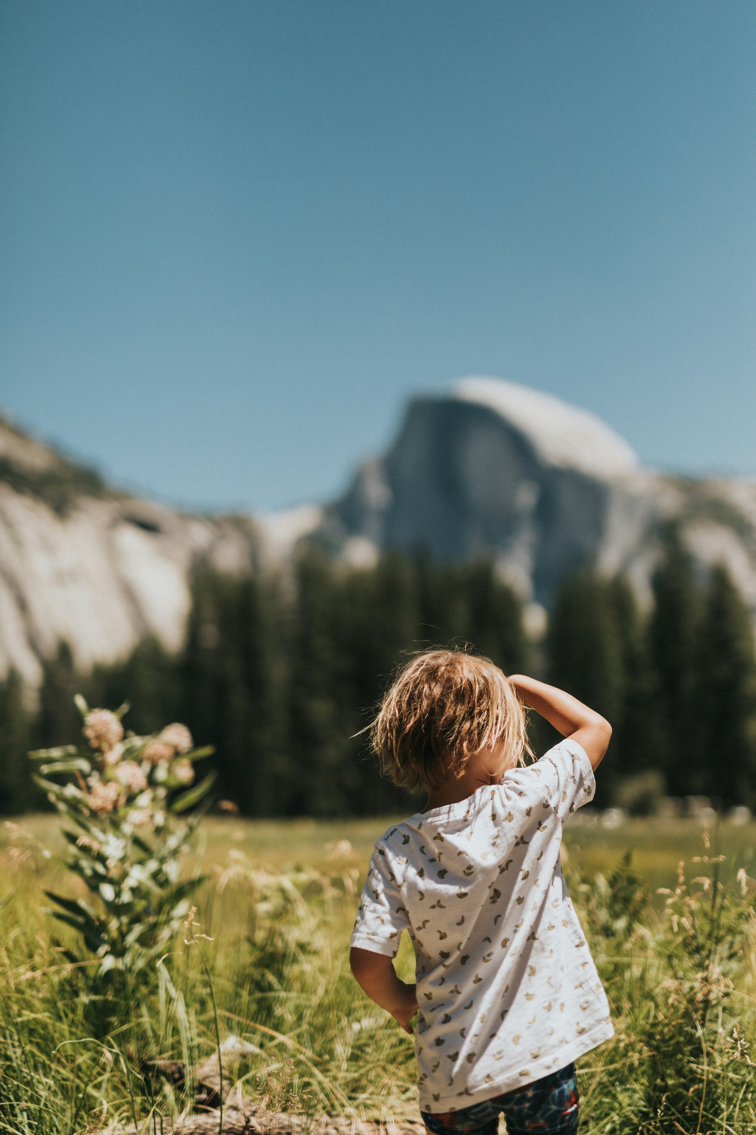 un jeune garçon aux cheveux bouclés, portant un t-shirt blanc à motifs, regarde du côté droit dans un champ avec des fleurs, avec des montagnes en arrière-plan et un ciel clair.