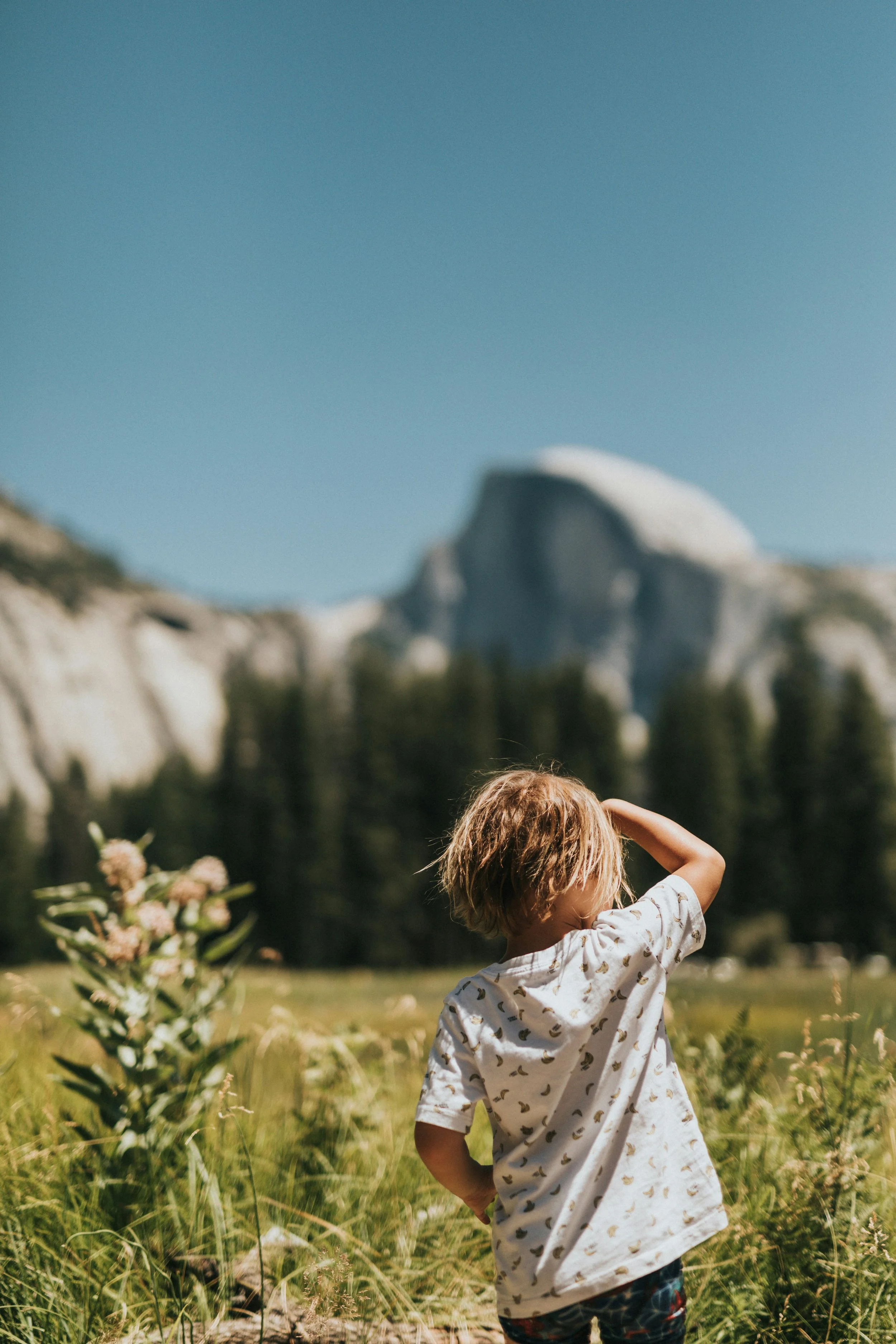 un jeune garçon regarde du côté dans un champ avec des fleurs, avec des montagnes en arrière-plan et un ciel clair, il profite des ses vacances en famille