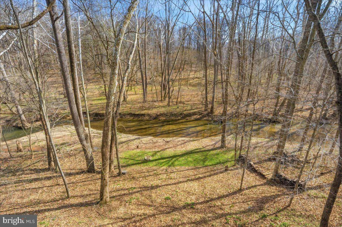 A wooded landscape with tall, leafless trees surrounding a small river or creek. The ground is covered with brown leaves, and there is a patch of green grass in the foreground. The sky is partly cloudy.