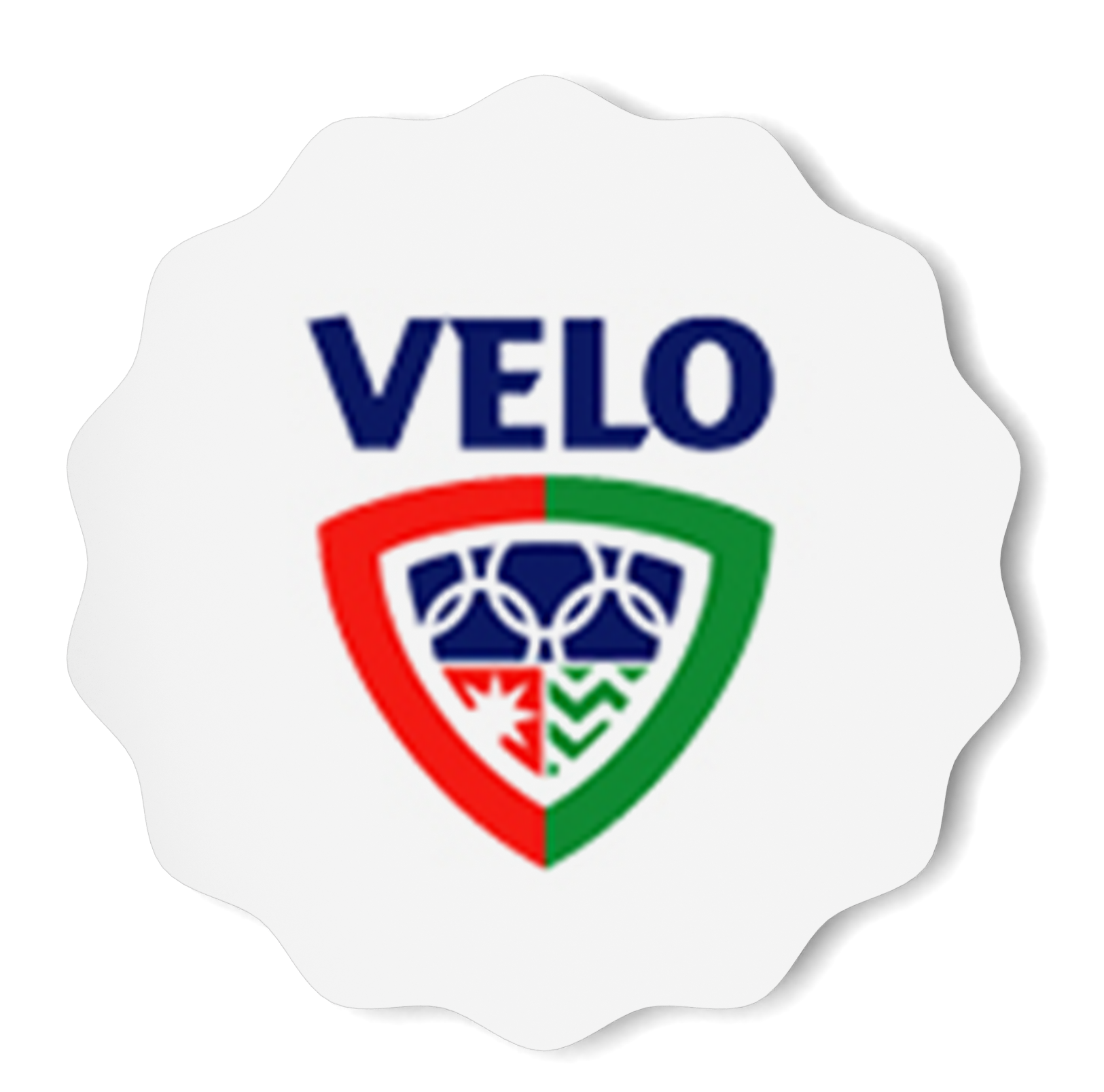 Logo van Velo met de olympische ringen en een rood, witte en groene rand, symbool voor Italië.