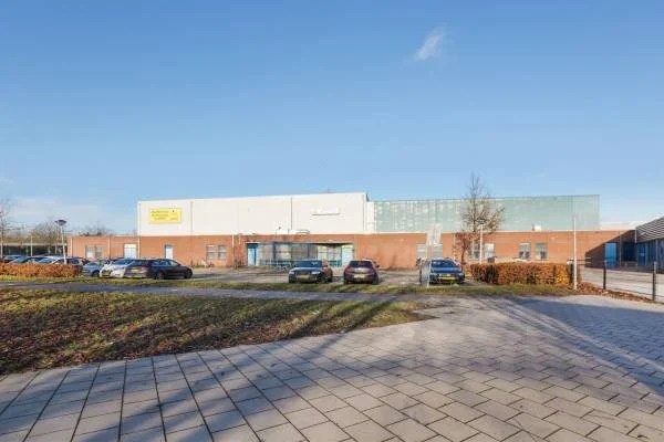 Een parkeerplaats voor auto's voor een groot winkelcentrum of bedrijfspand, met een goede lucht en een paar bomen.