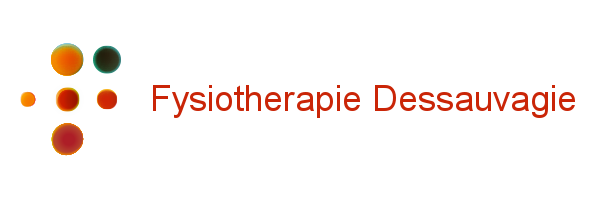 Logo met gekleurde cirkels en de tekst 'Fysiotherapie Dessauvagie'.