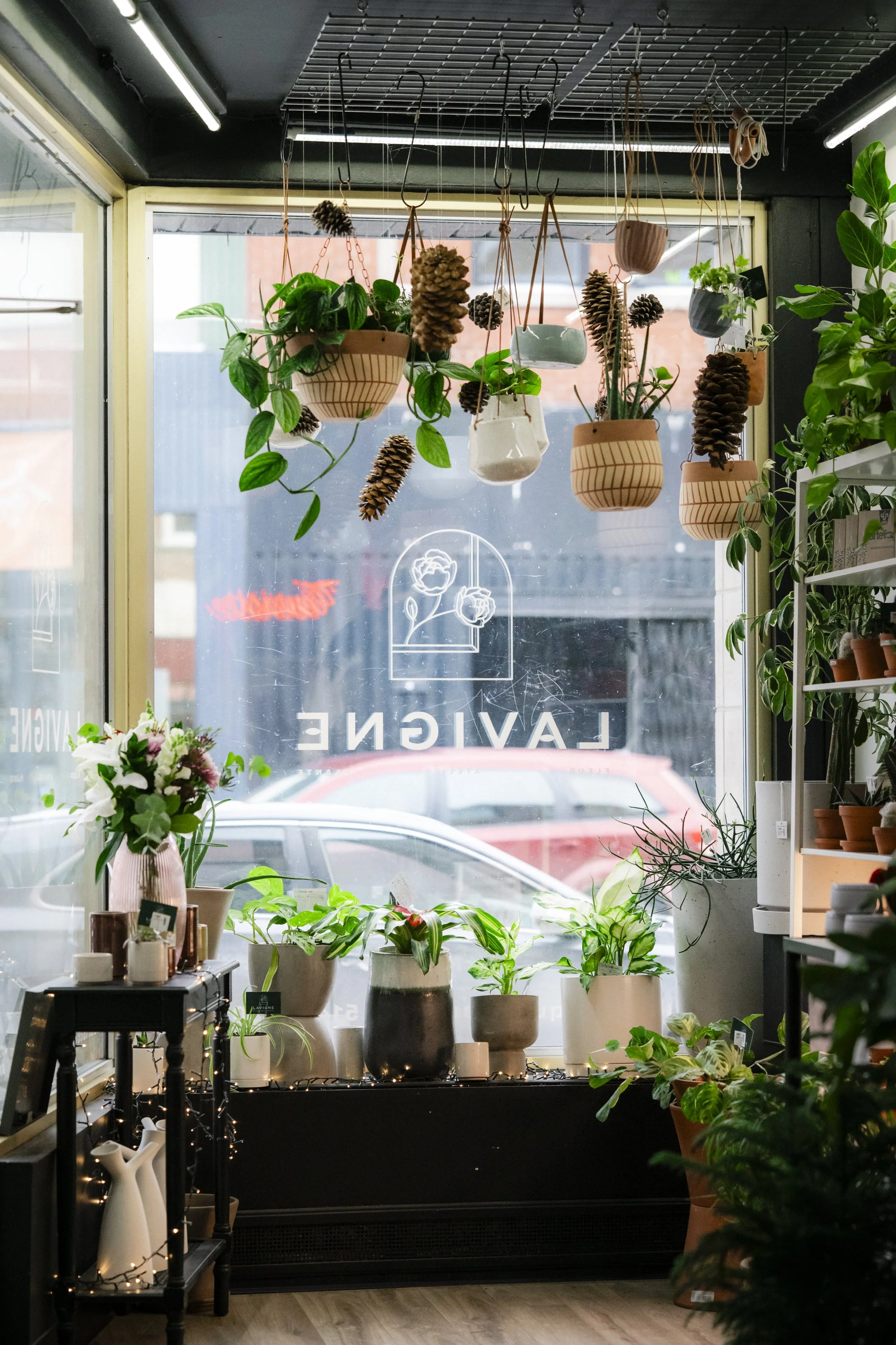 Vitrine d'une boutique de plantes avec plusieurs pots de différentes tailles contenant des plantes vertes, et des étagères avec des fleurs et des objets décoratifs. Des plantes suspendues décorent également l'intérieur. À l'extérieur, on voit des voi