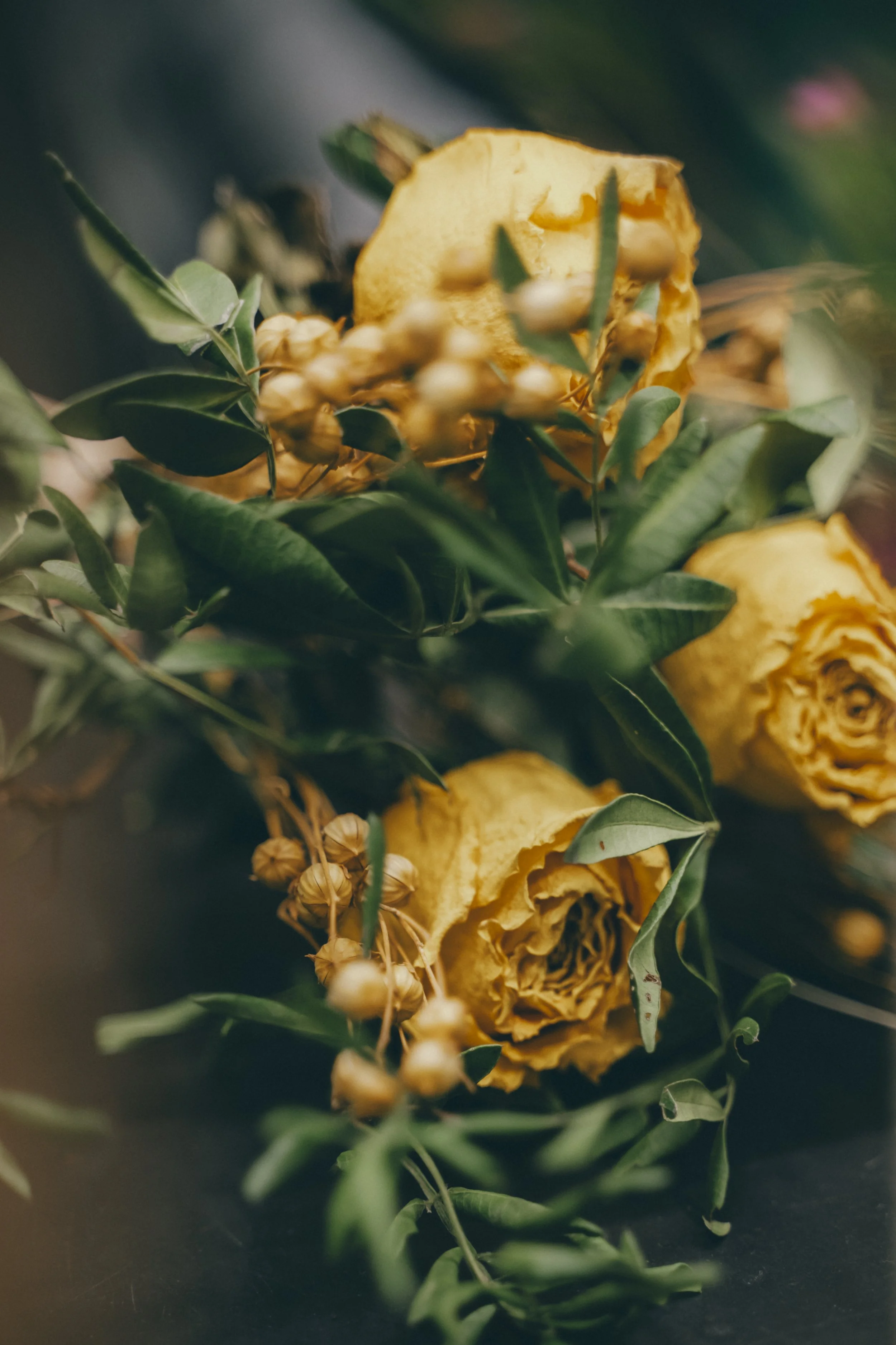 Bouquet de roses jaunes séchées avec des feuilles vertes et des petites boules blanches sur un fond sombre.