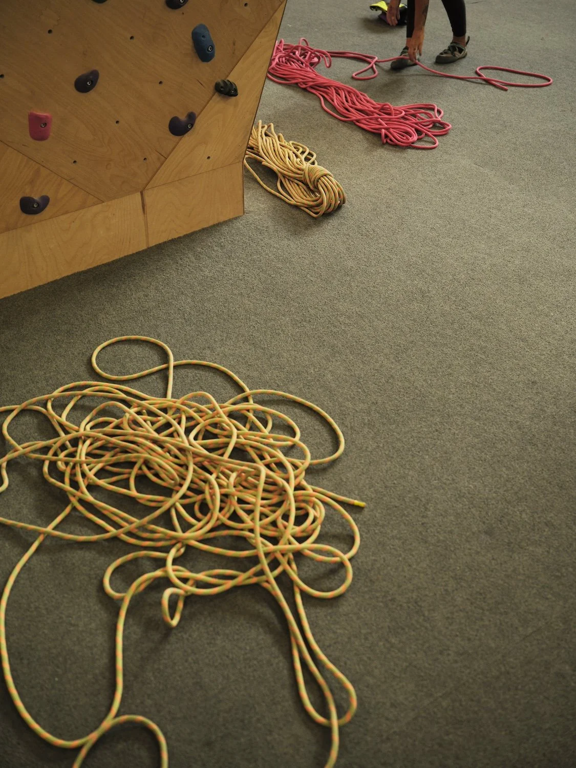 Yellow and pink climbing ropes on the ground below a rock climbing wall.
