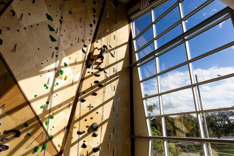 A person rock climbing inside a gym, with natural light coming through large windows.