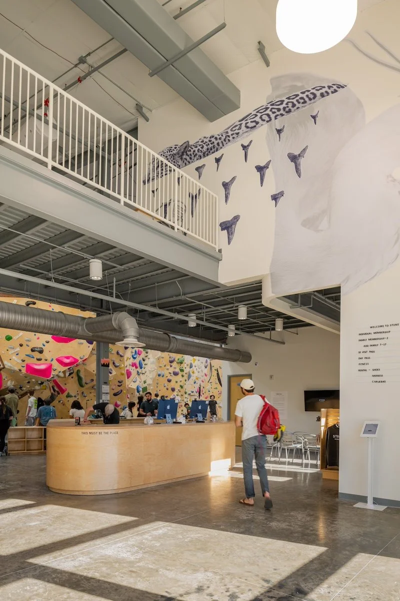 Entrance to Stone rock climbing gym's Jacksonville location with a front desk and cool sharks teeth art on the walls. You can see bouldering walls in the background.