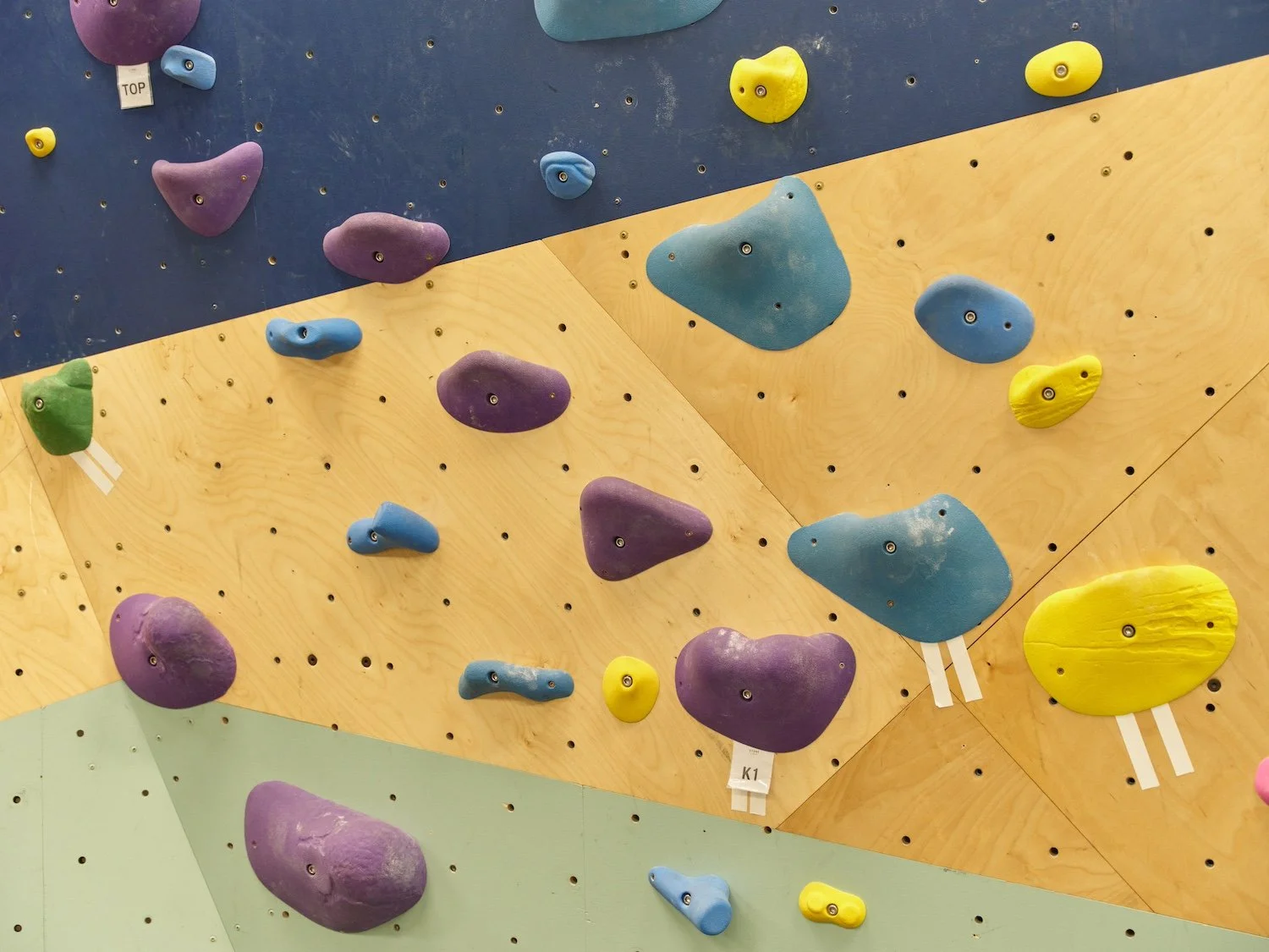 Colorful climbing holds on a kids rock climbing wall.