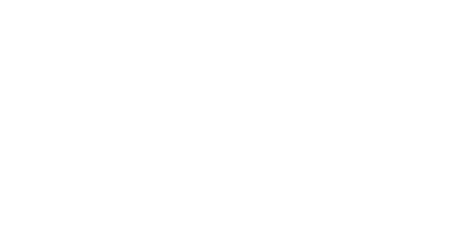 2HS