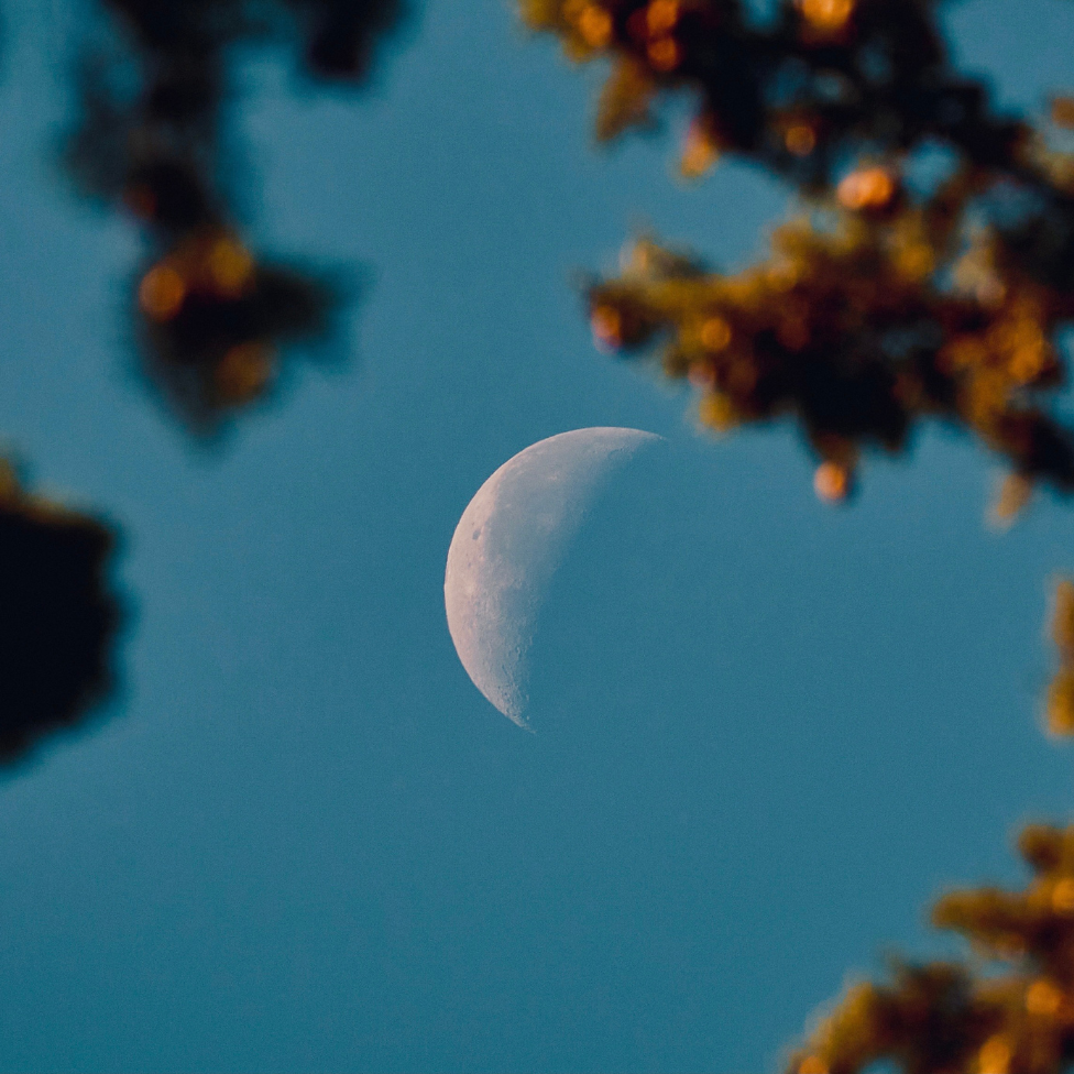 The First Quarter Moon A Time for Courage, Action &amp; Moving Forward
