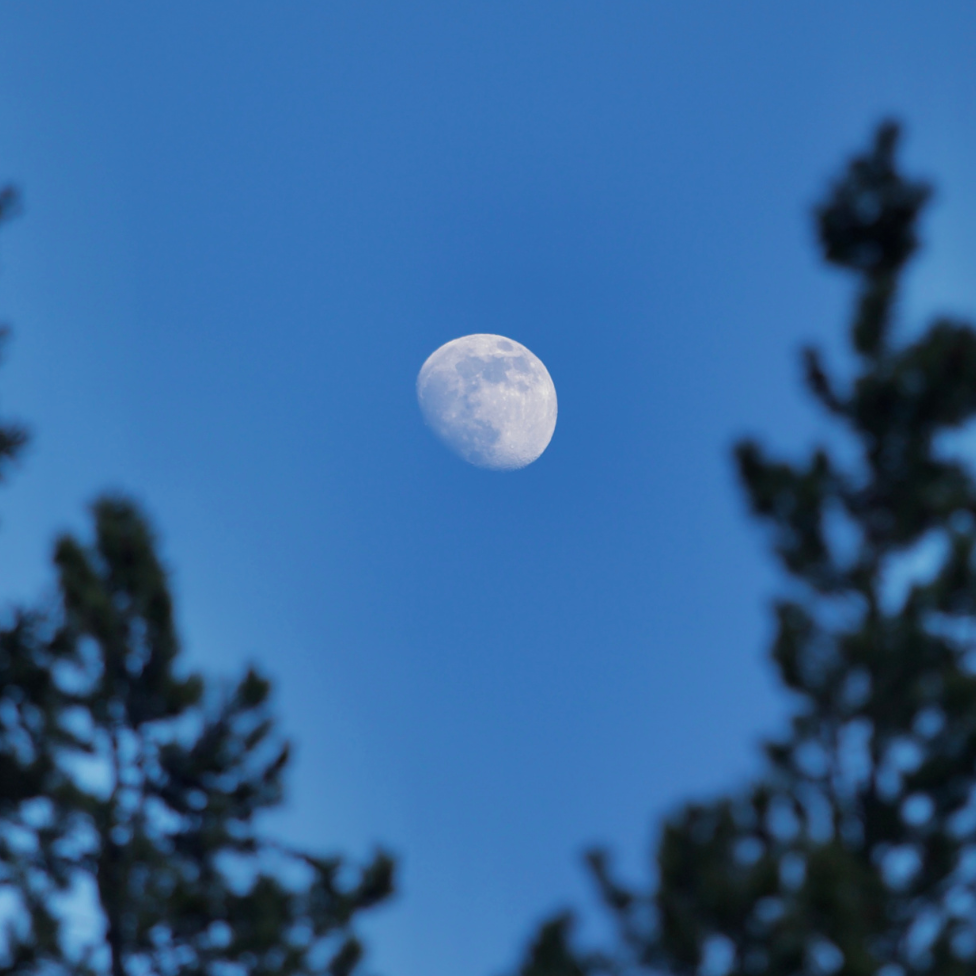 The Waxing Gibbous Moon A Time to Refine, Prepare &amp; Trust the Process