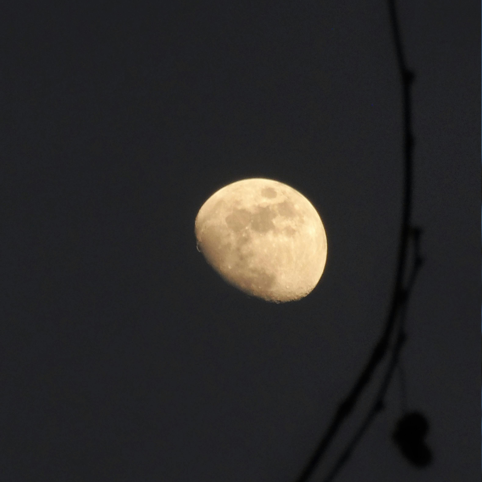 The Waning Gibbous Moon A Time to Reflect, Give Thanks &amp; Gather Wisdom