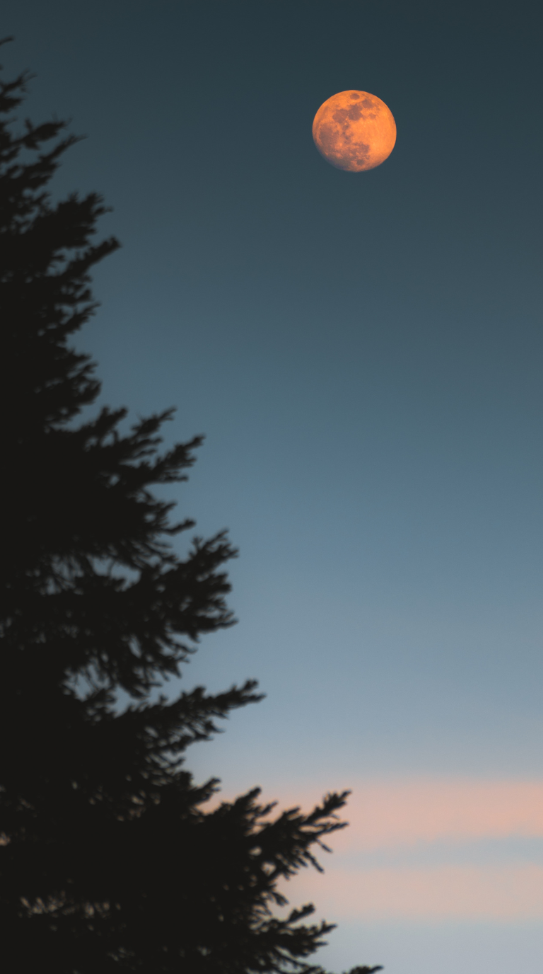 August Full Moon 2026 A Simple Full Moon Ritual for Release &amp; Reflection
