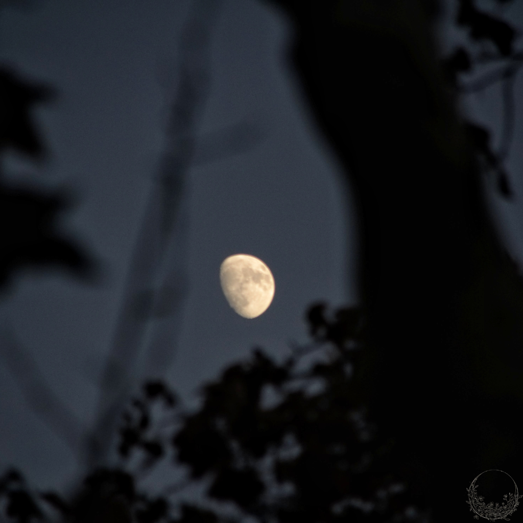 New Moon Rituals for New Beginnings A Simple Guide