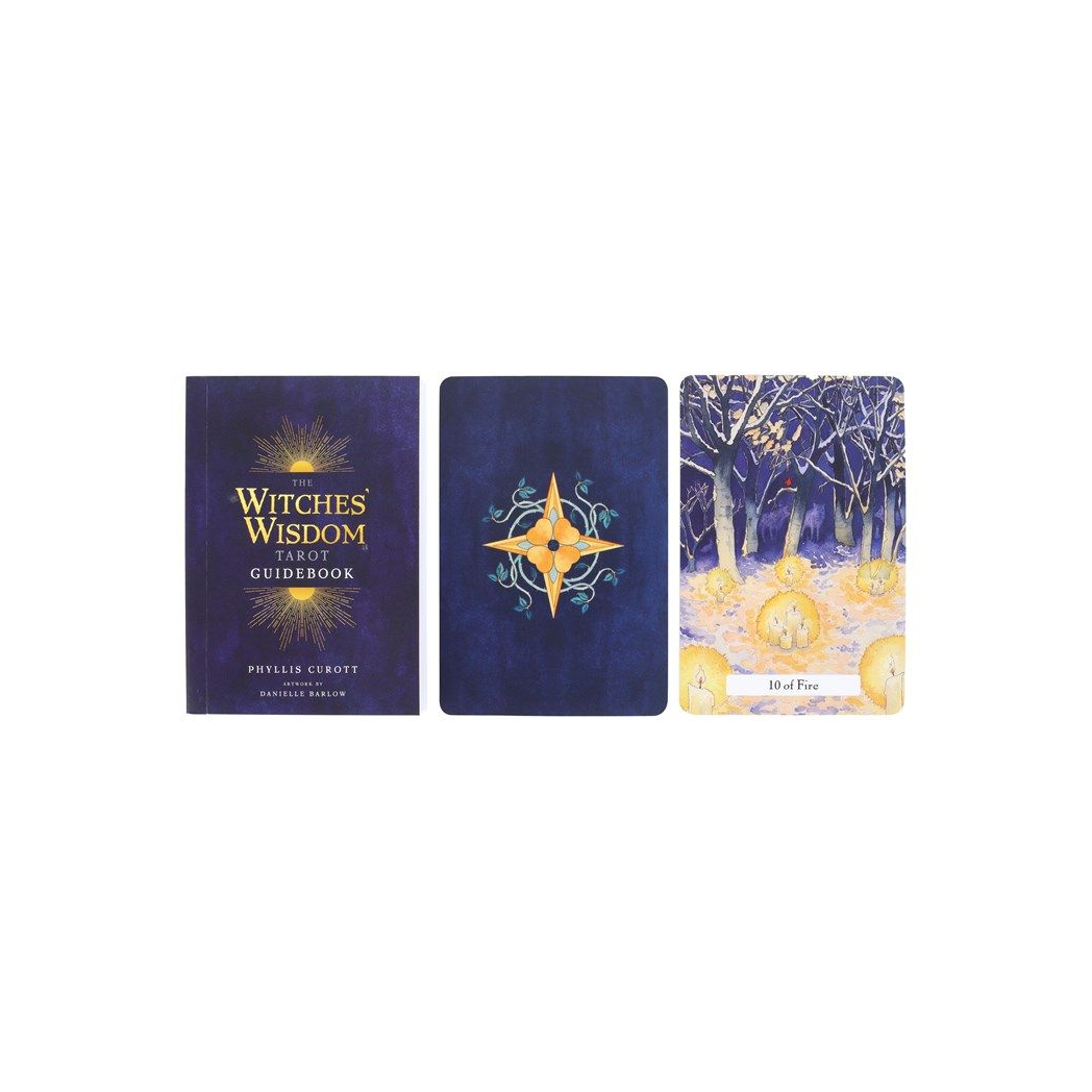 The Witches' Wisdom Tarot Cards Standard Edition