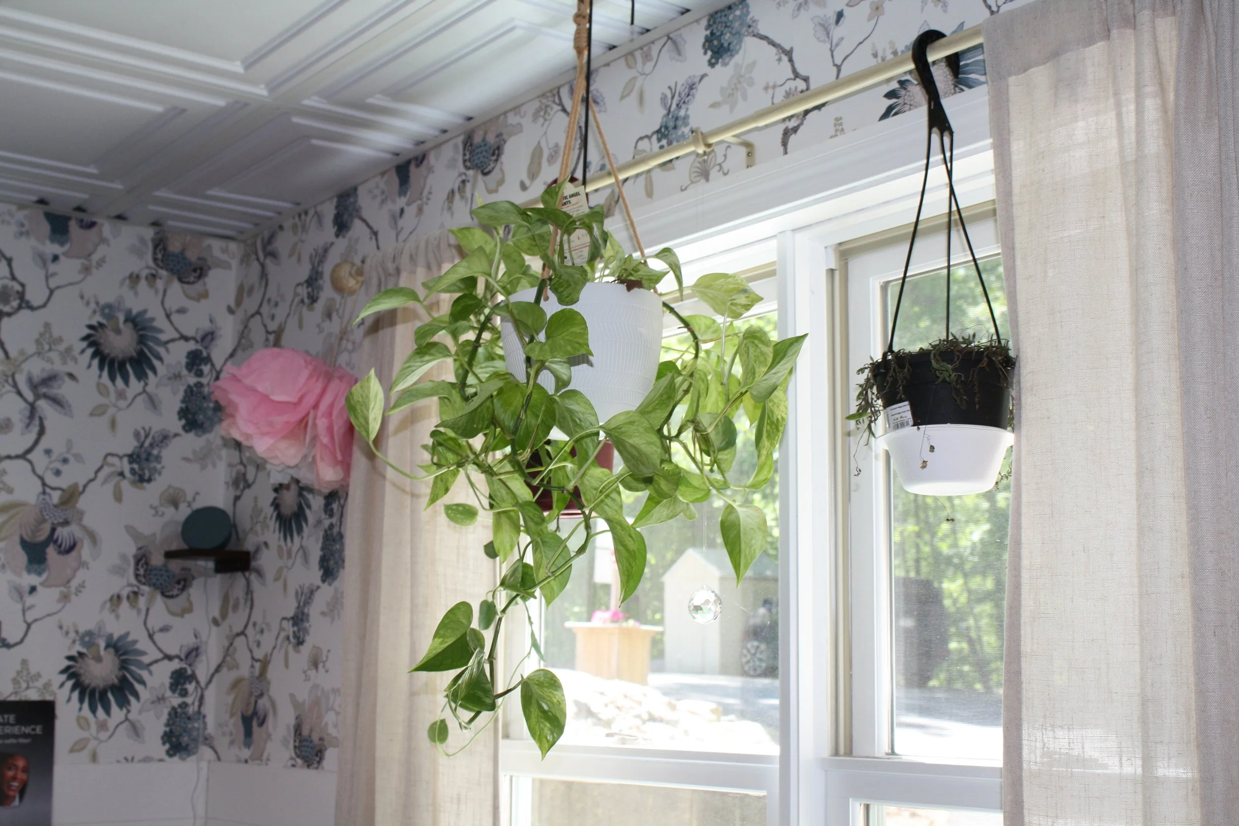 Hanging potted plants on a window sill with floral wallpaper and curtains in the background.
